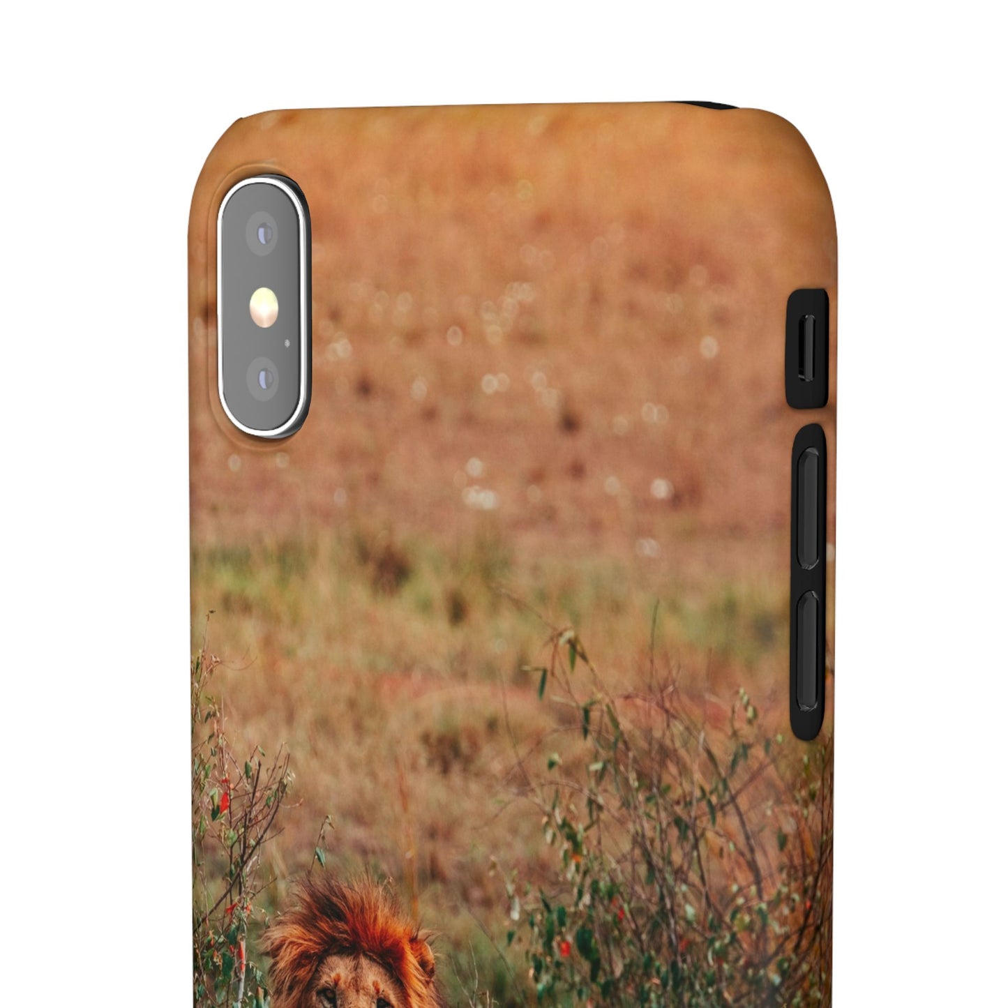 Majestic Lion Cajasol - Nature Inspired