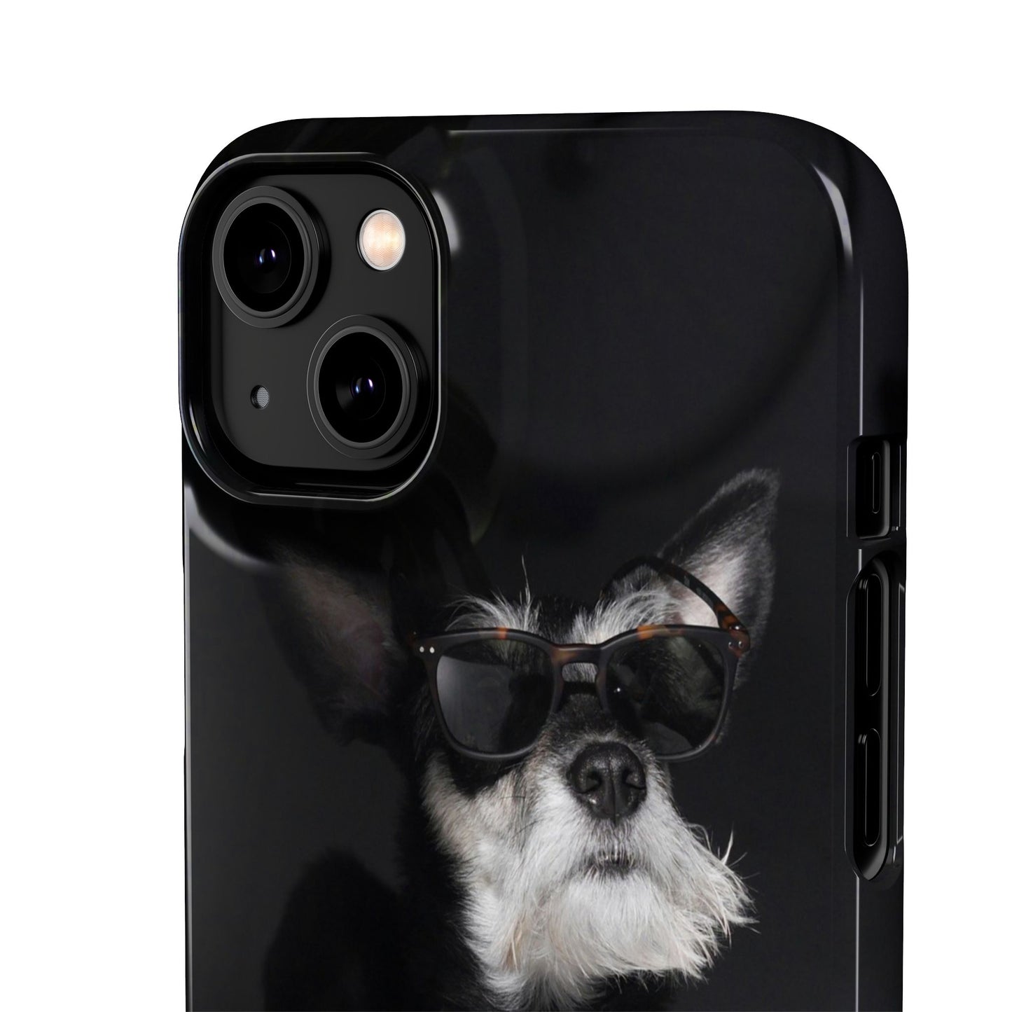 Cool Dog Cajasol - Stylish Pet