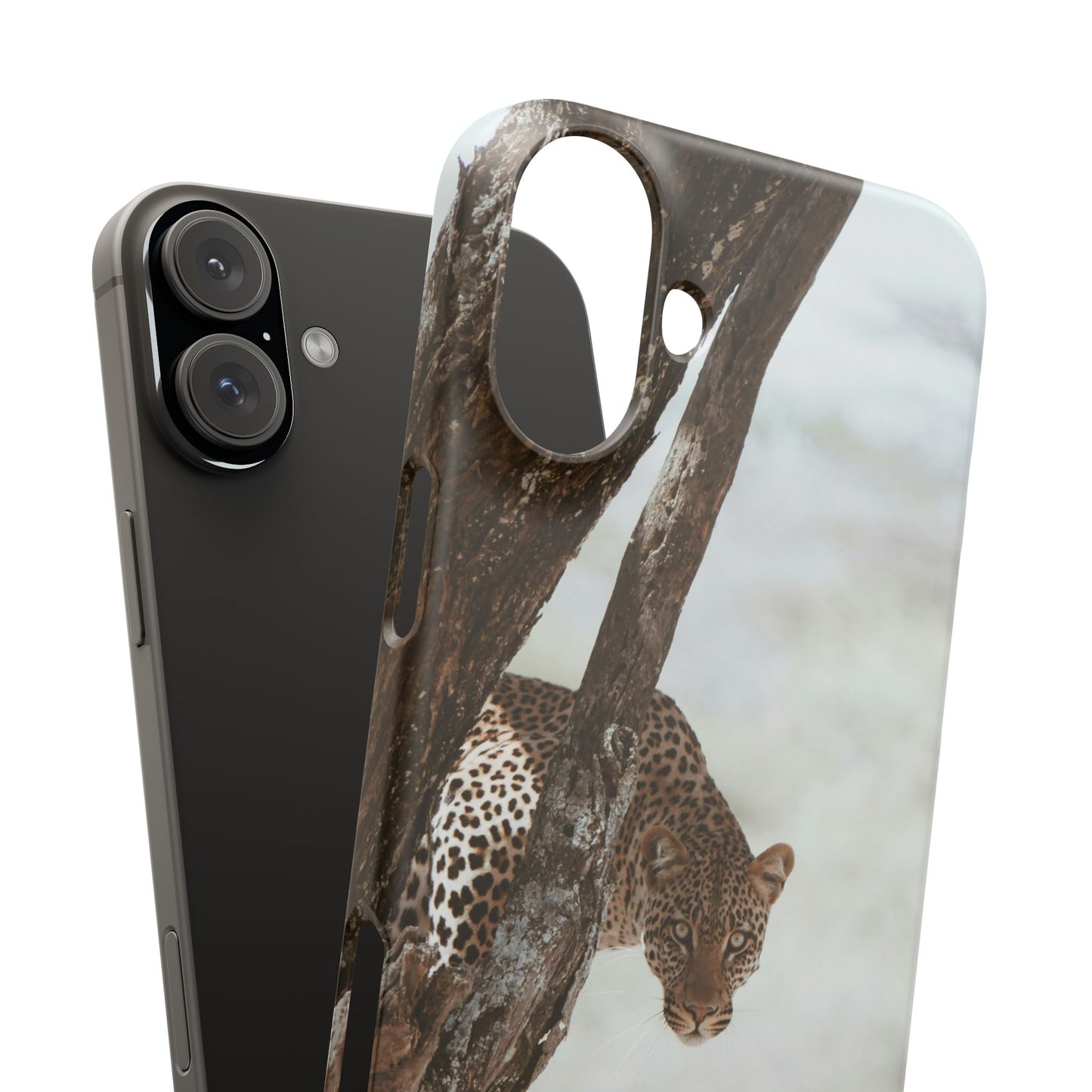 Leopard Cajasol - Wildlife Vibes