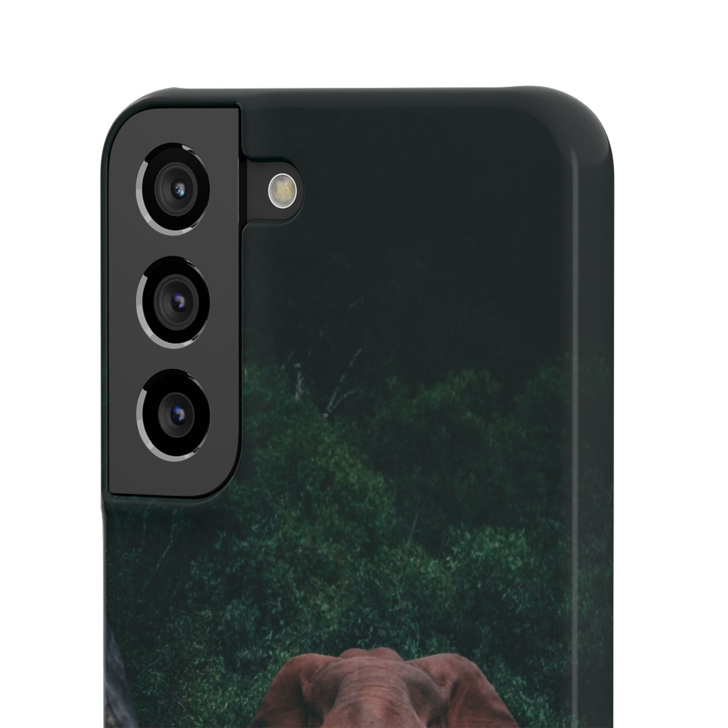 Wildlife Lover's Cajasol - Majestic Elephant