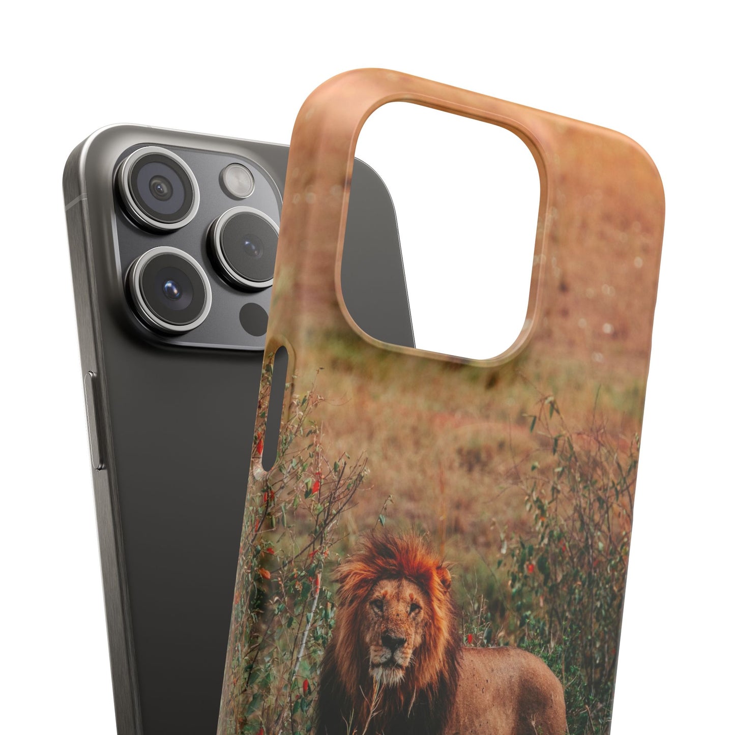 Majestic Lion Cajasol - Nature Inspired