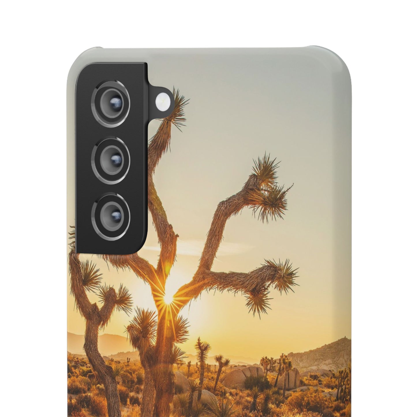 Desert Sunset Cajasol - Stylish Protection for Nature Lovers