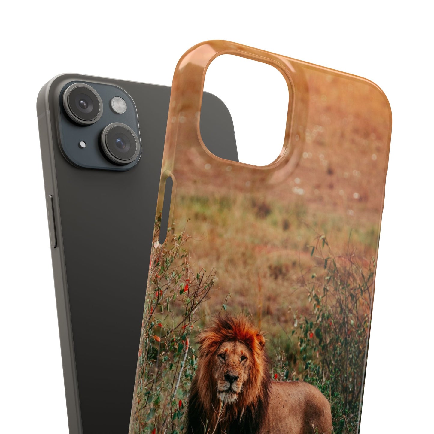 Majestic Lion Cajasol - Nature Inspired