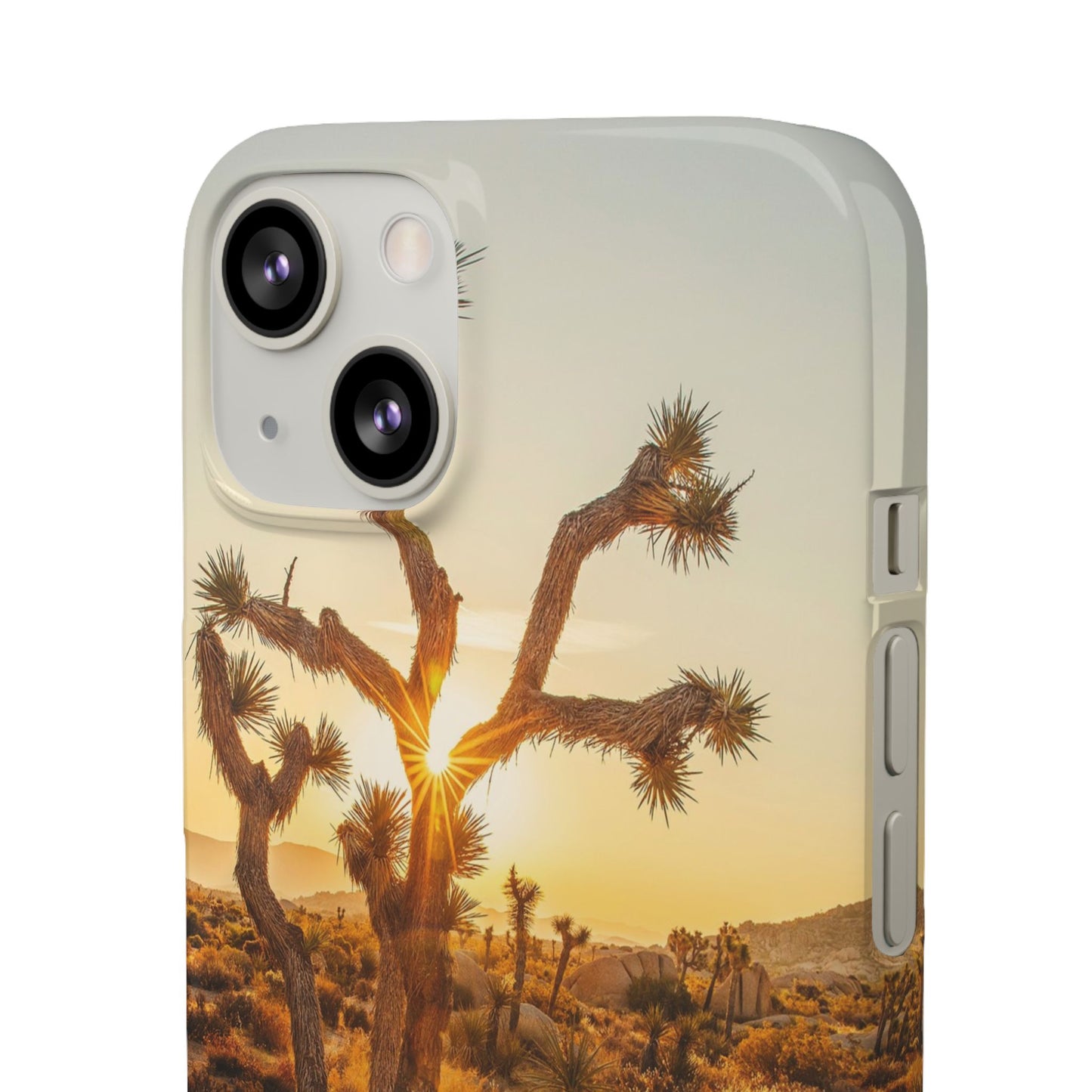 Desert Sunset Cajasol - Stylish Protection for Nature Lovers