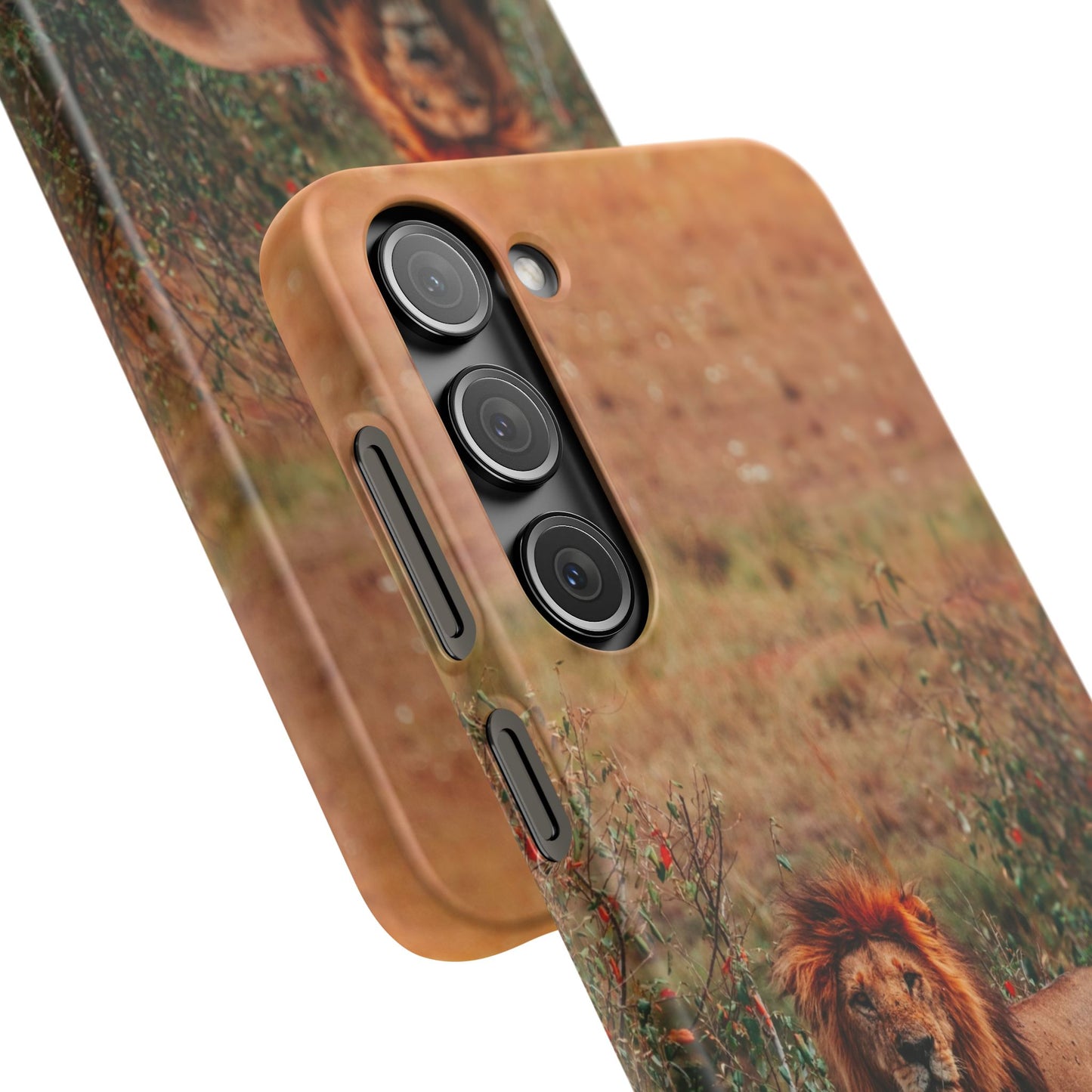 Majestic Lion Cajasol - Nature Inspired