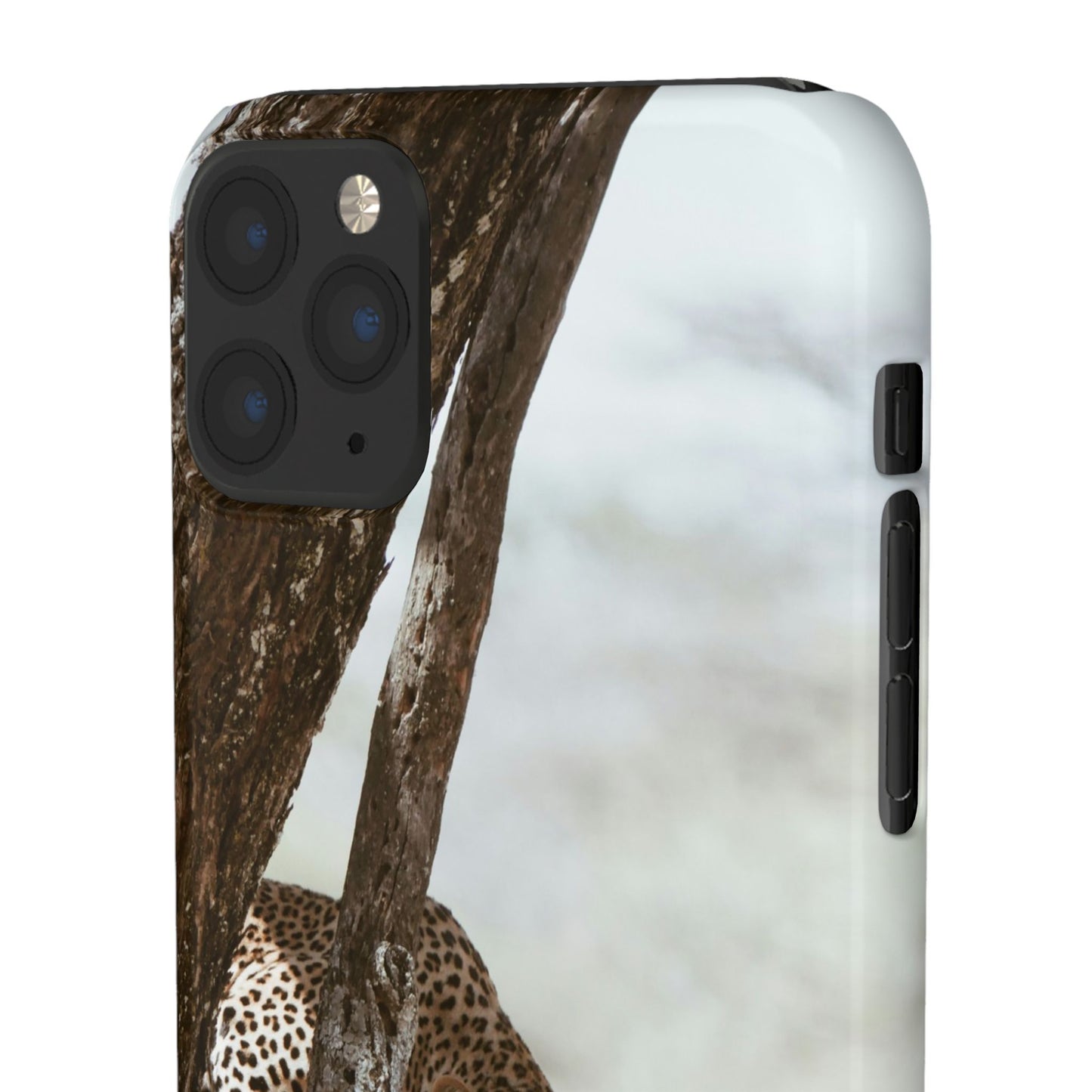 Leopard Cajasol - Wildlife Vibes