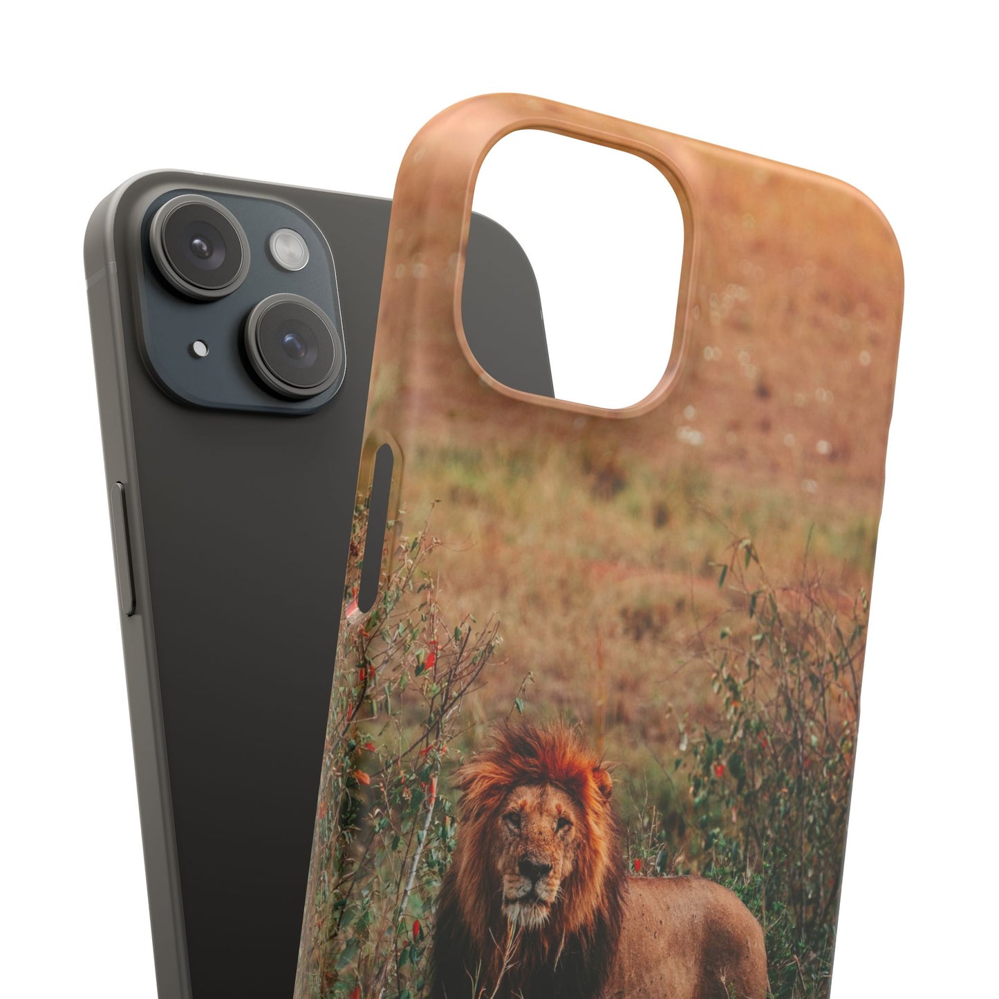 Majestic Lion Cajasol - Nature Inspired