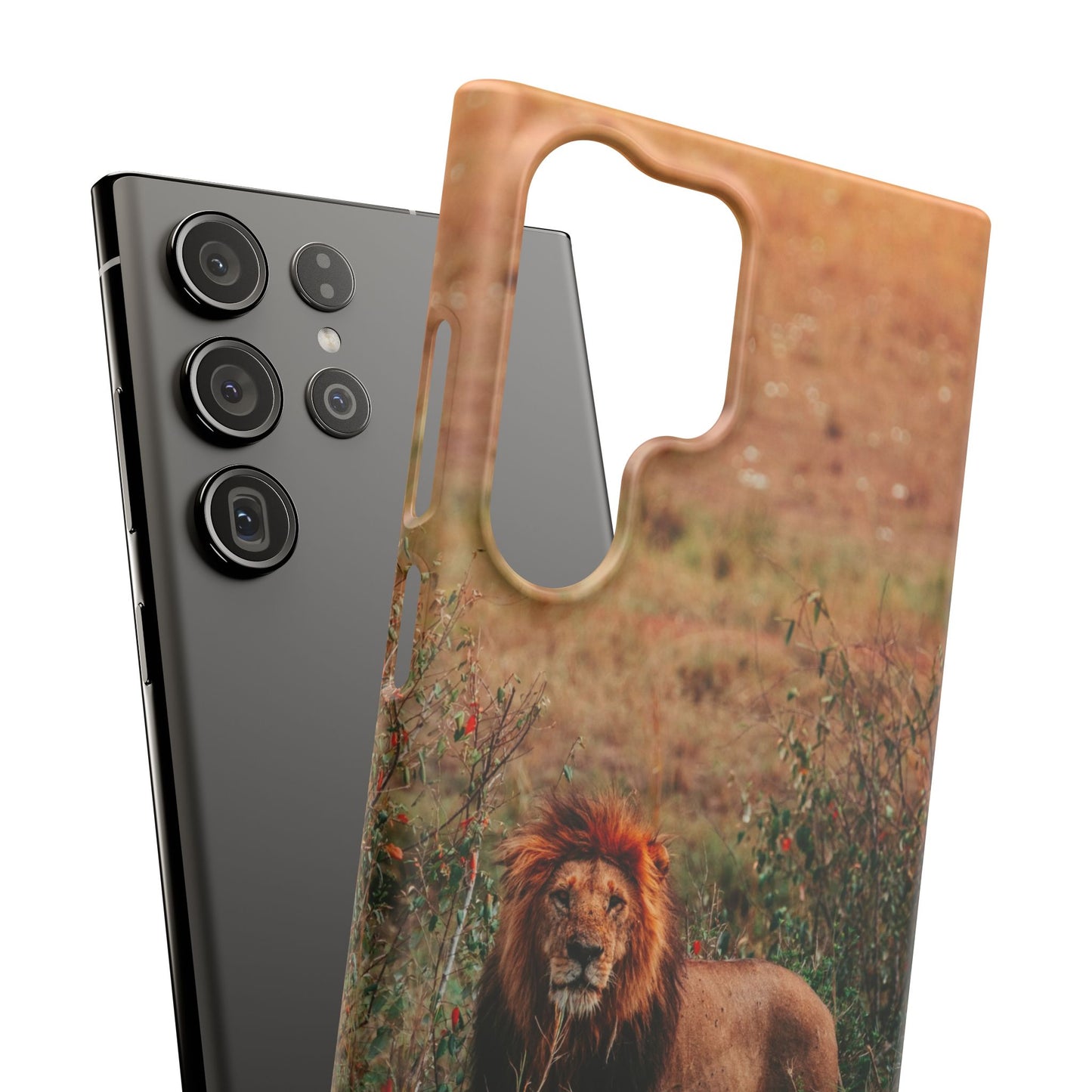 Majestic Lion Cajasol - Nature Inspired