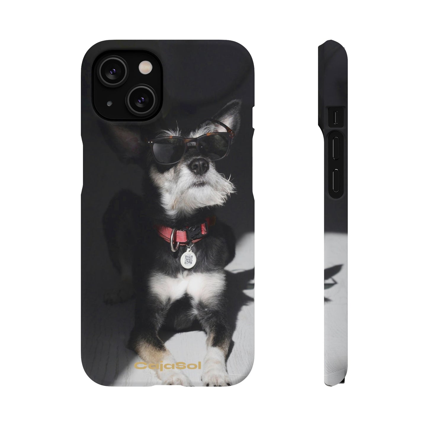 Cool Dog Cajasol - Stylish Pet