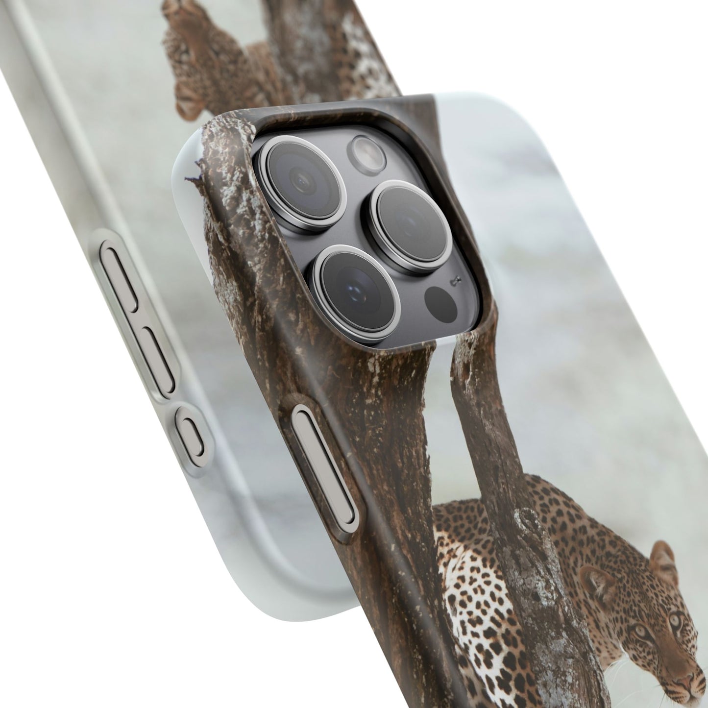 Leopard Cajasol - Wildlife Vibes