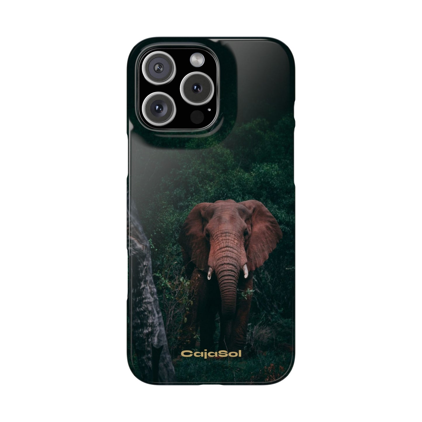 Wildlife Lover's Cajasol - Majestic Elephant