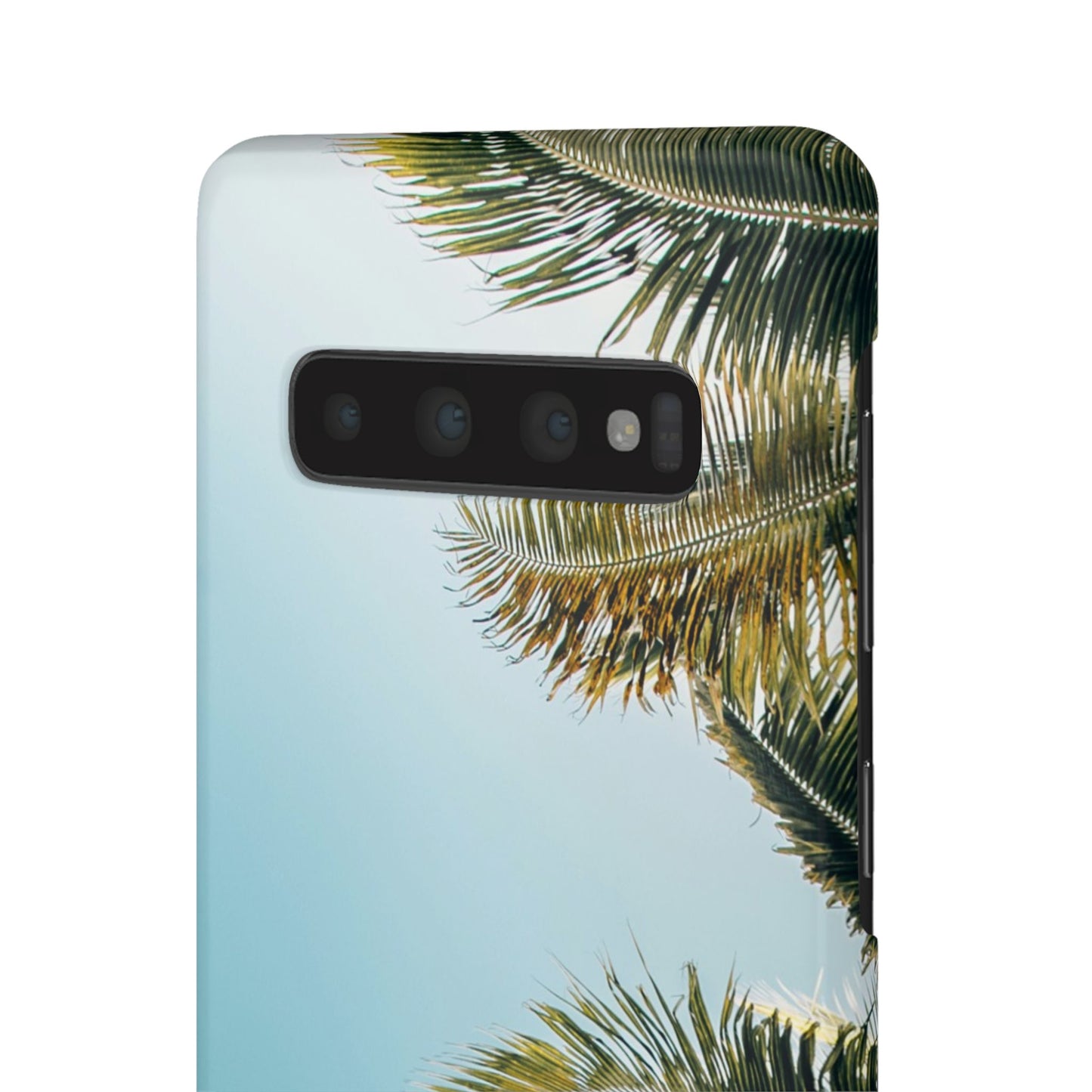 Tropical Palm Cajasol – Summer Vibes for Beach Lovers