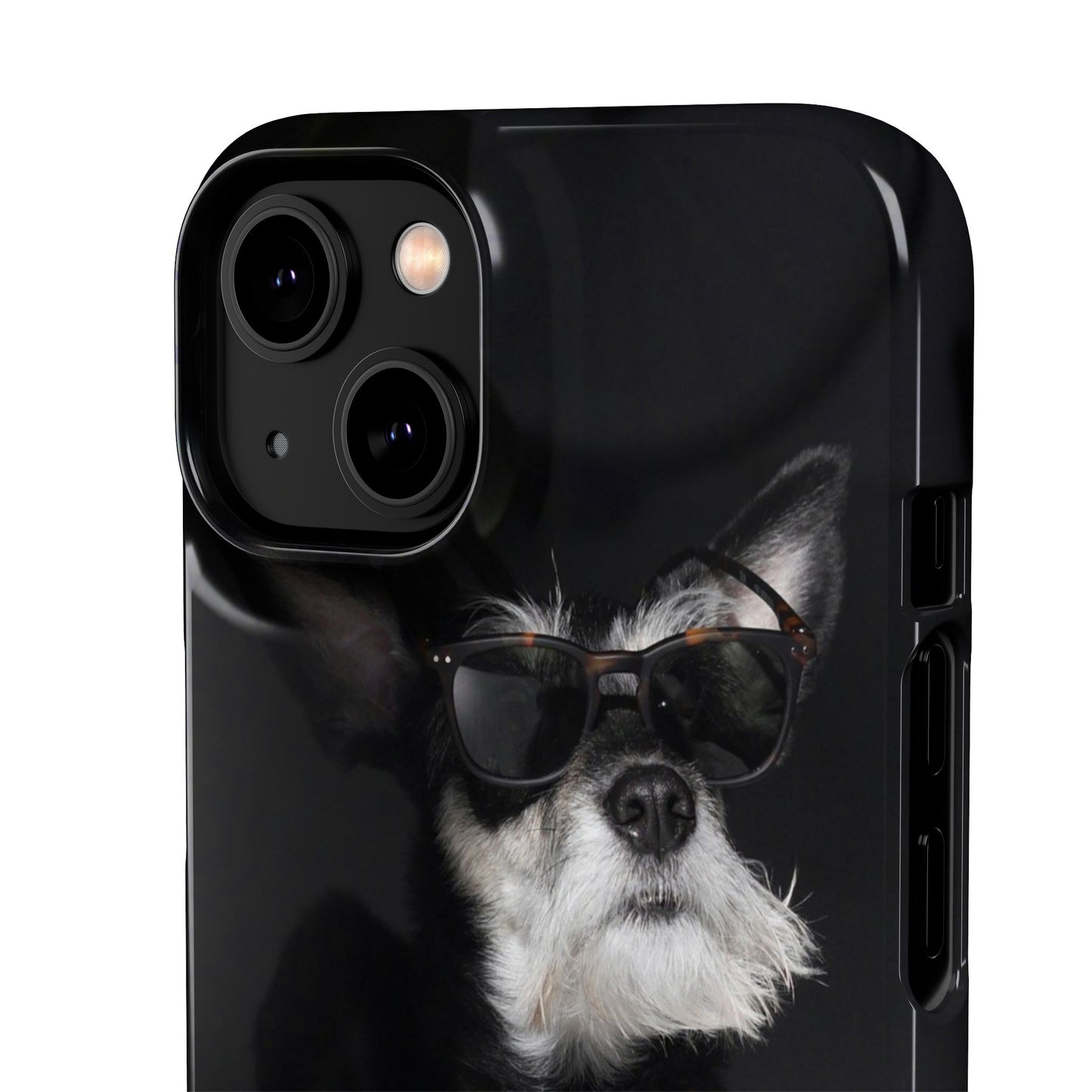 Cool Dog Cajasol - Stylish Pet