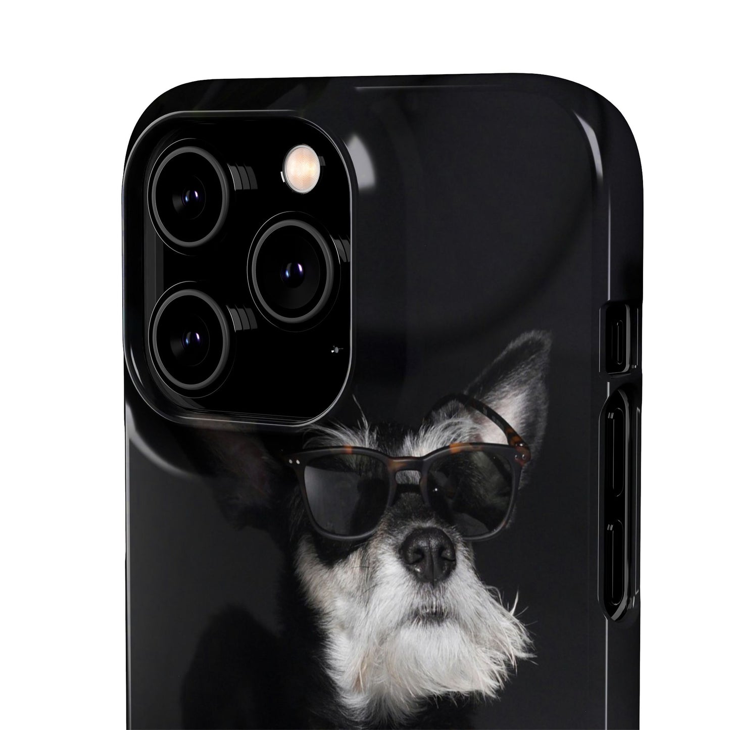 Cool Dog Cajasol - Stylish Pet