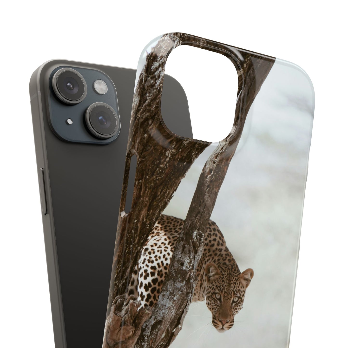 Leopard Cajasol - Wildlife Vibes