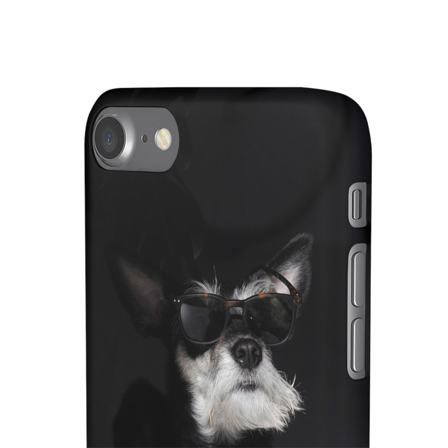 Cool Dog Cajasol - Stylish Pet