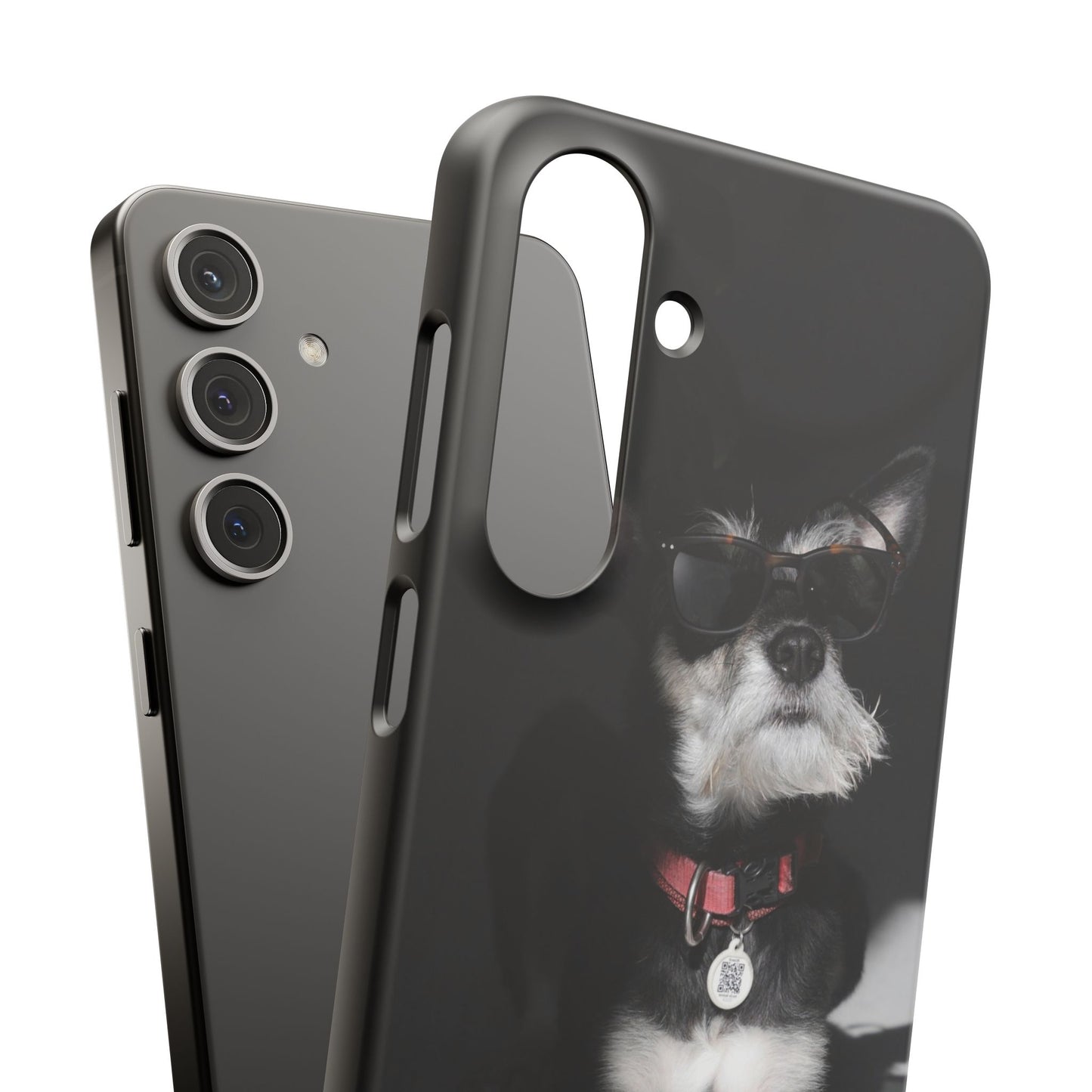 Cool Dog Cajasol - Stylish Pet