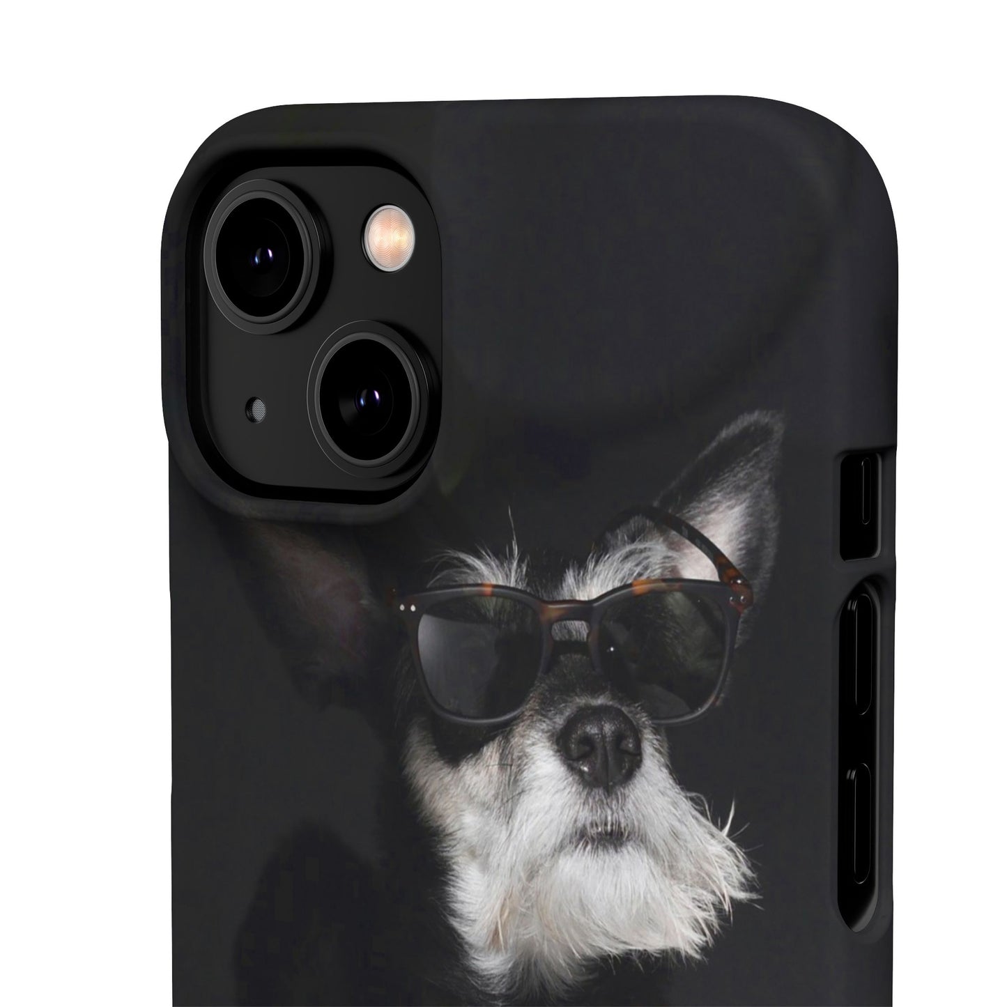 Cool Dog Cajasol - Stylish Pet