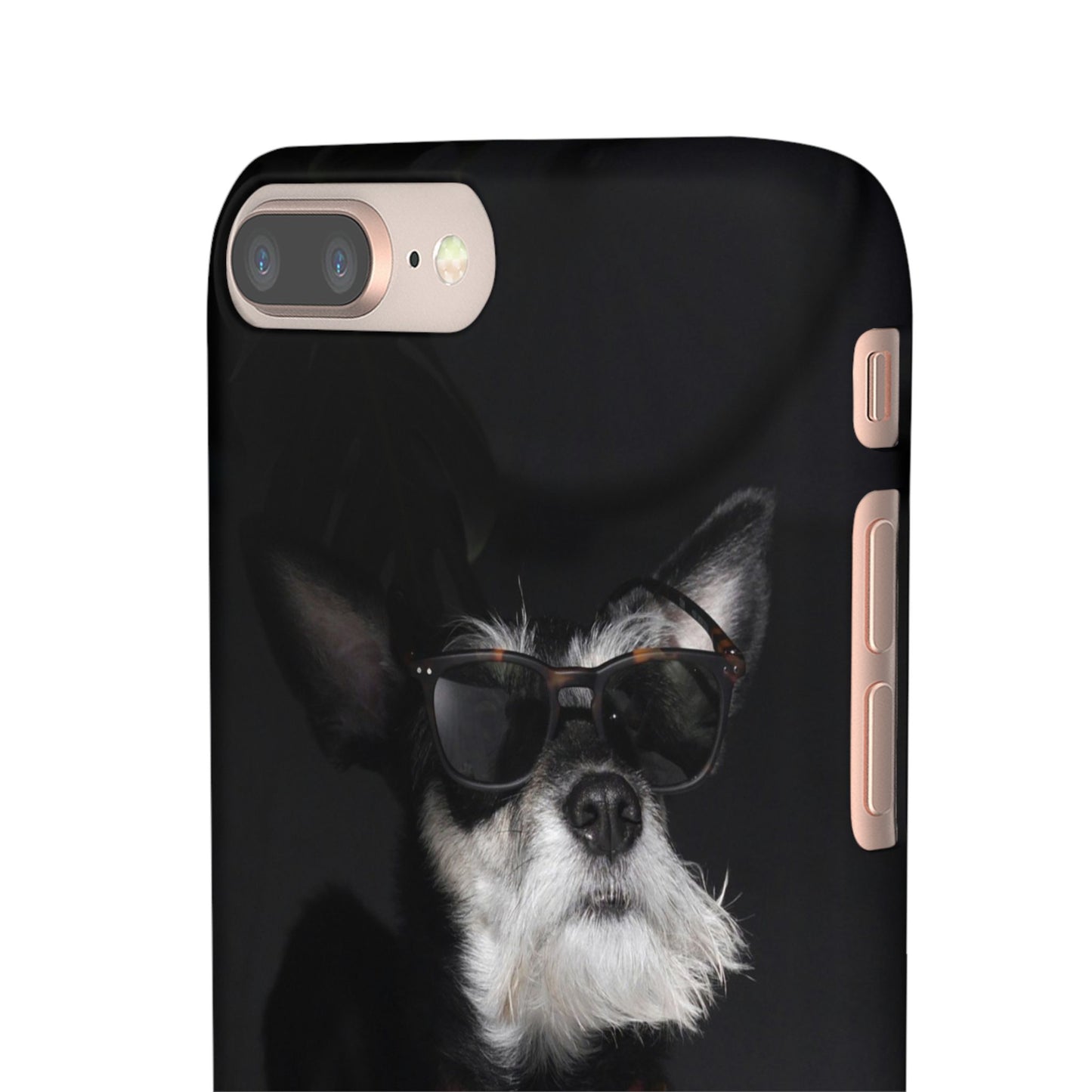 Cool Dog Cajasol - Stylish Pet