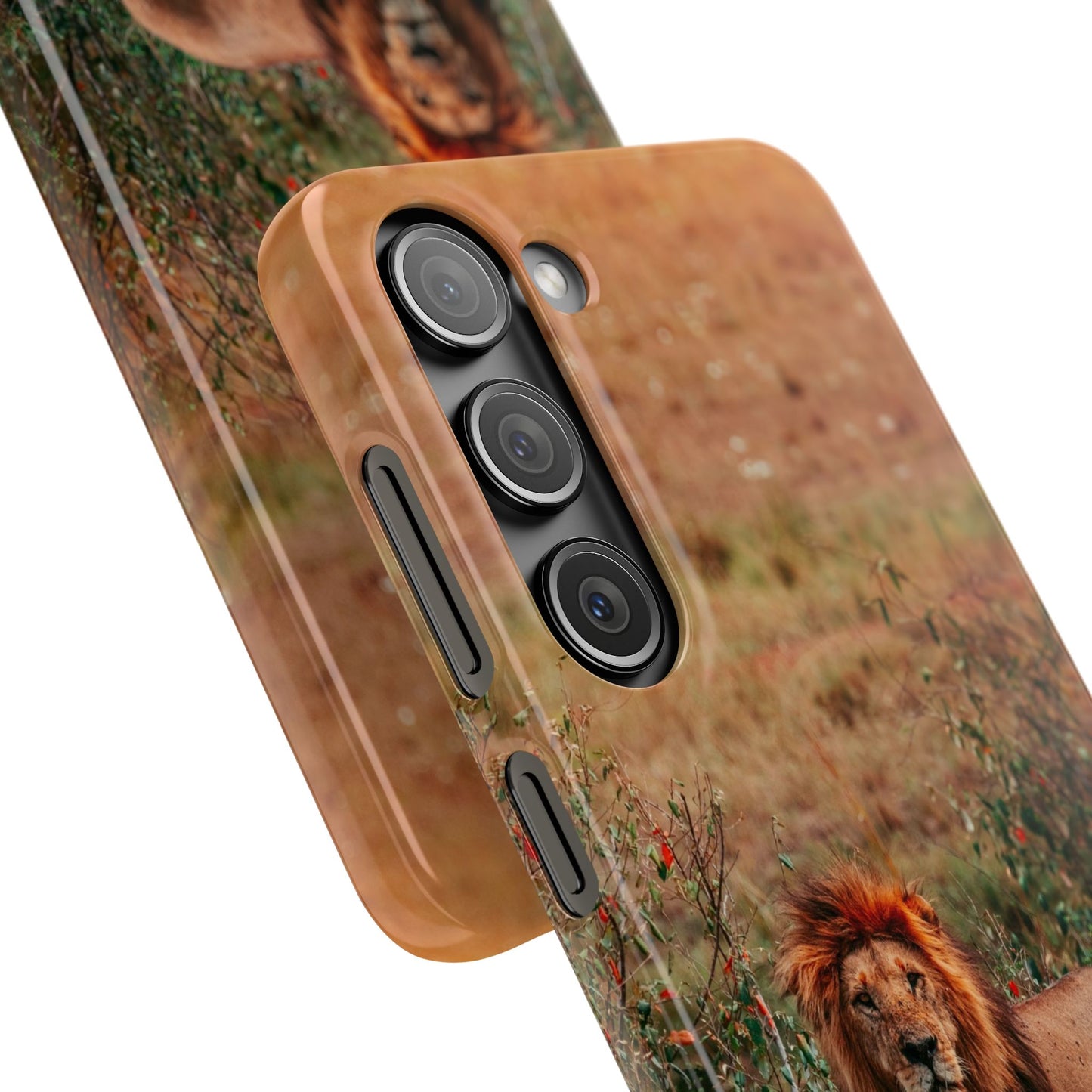 Majestic Lion Cajasol - Nature Inspired