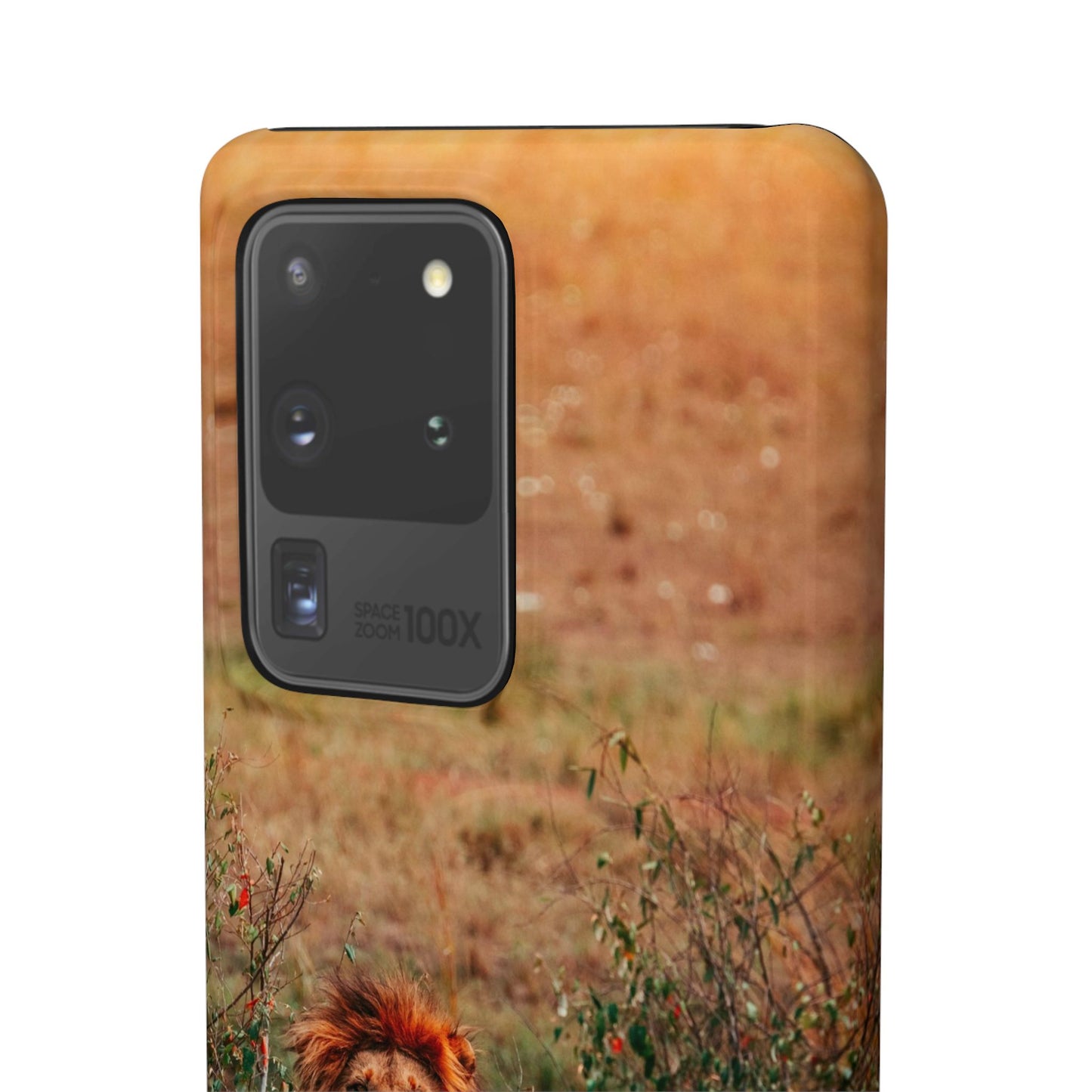 Majestic Lion Cajasol - Nature Inspired