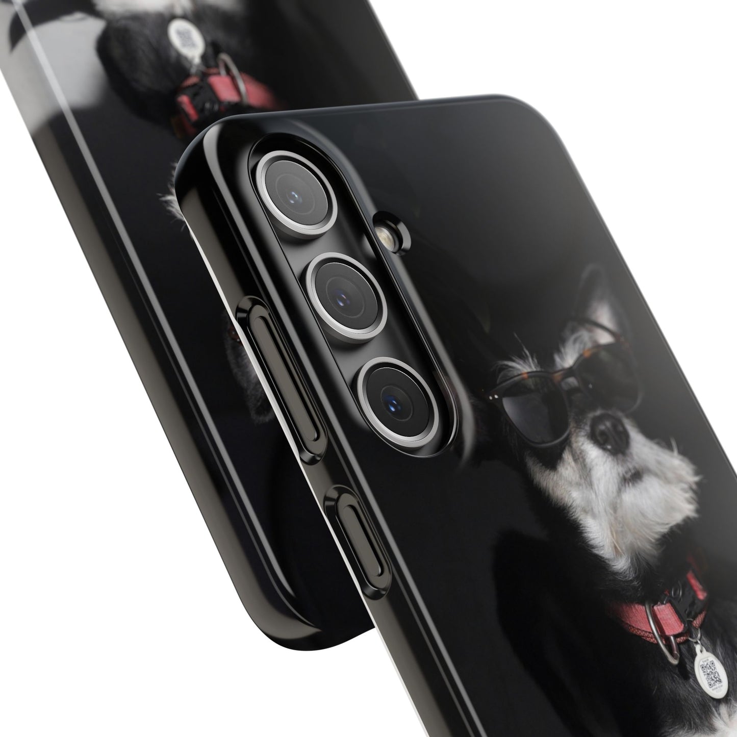 Cool Dog Cajasol - Stylish Pet