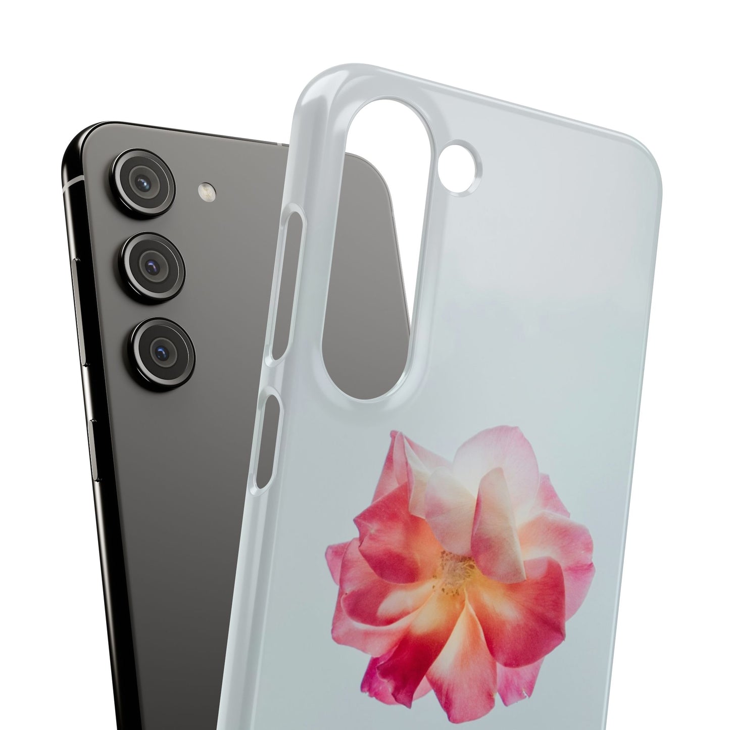 Floral Cajasol - Elegant Pink Flower