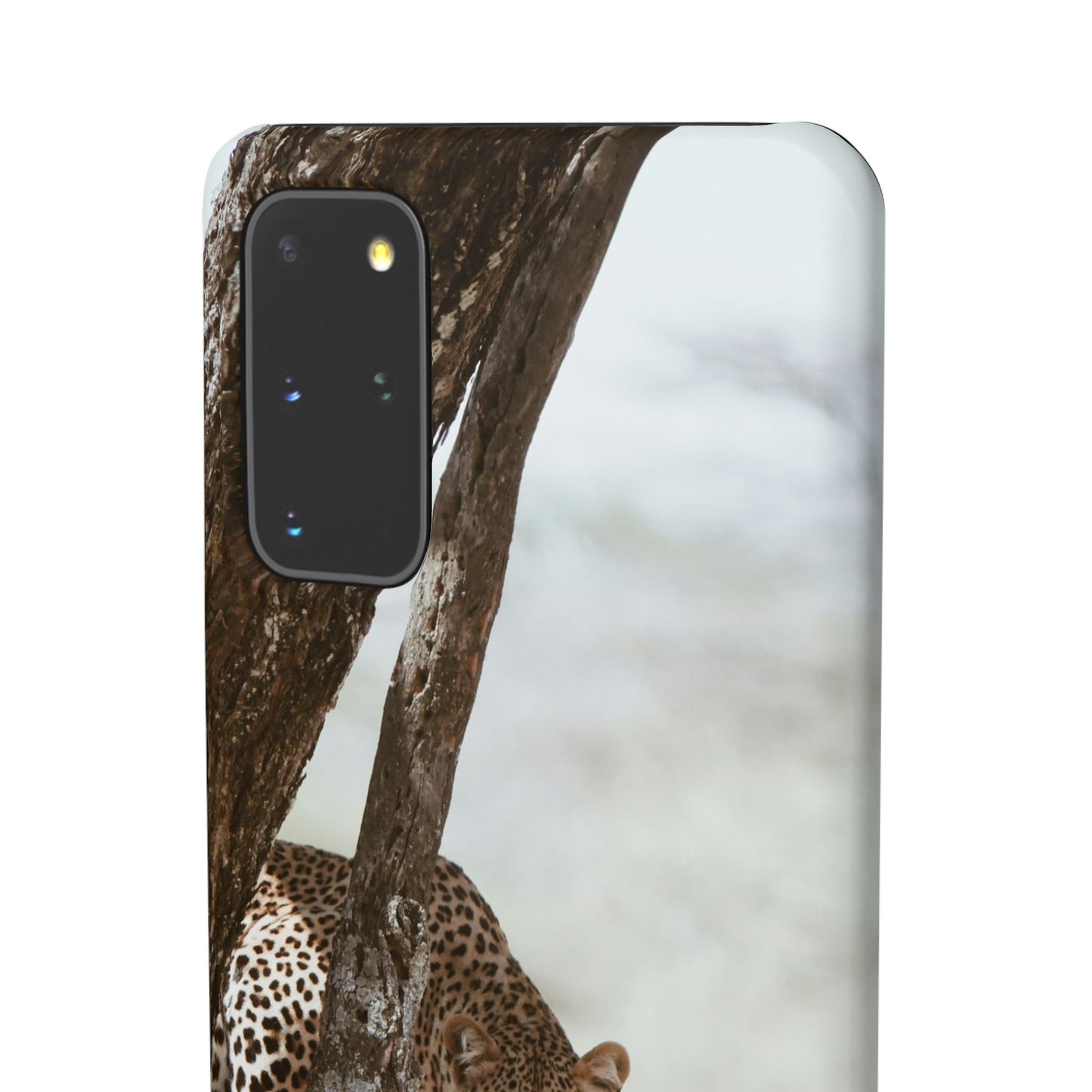 Leopard Cajasol - Wildlife Vibes