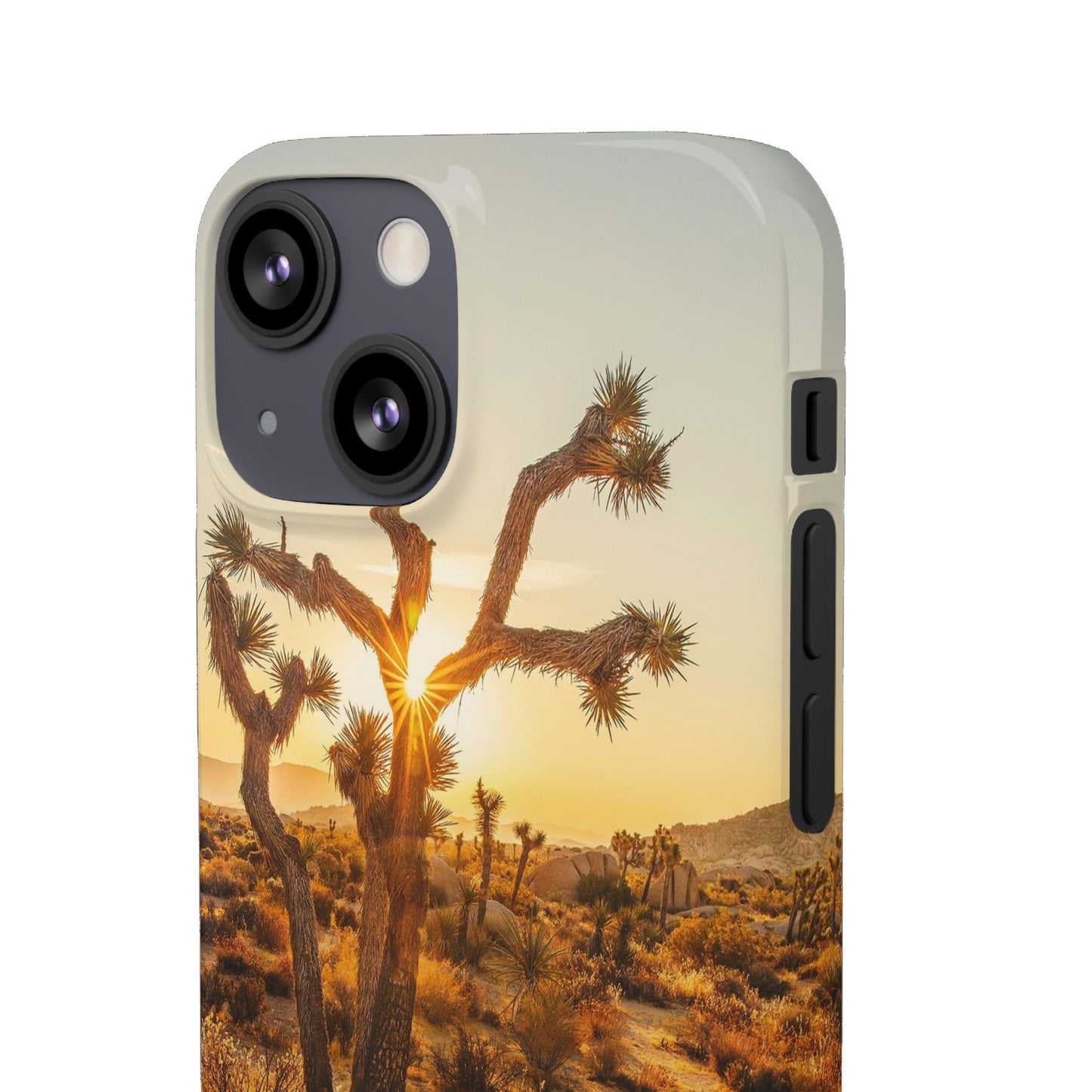 Desert Sunset Cajasol - Stylish Protection for Nature Lovers