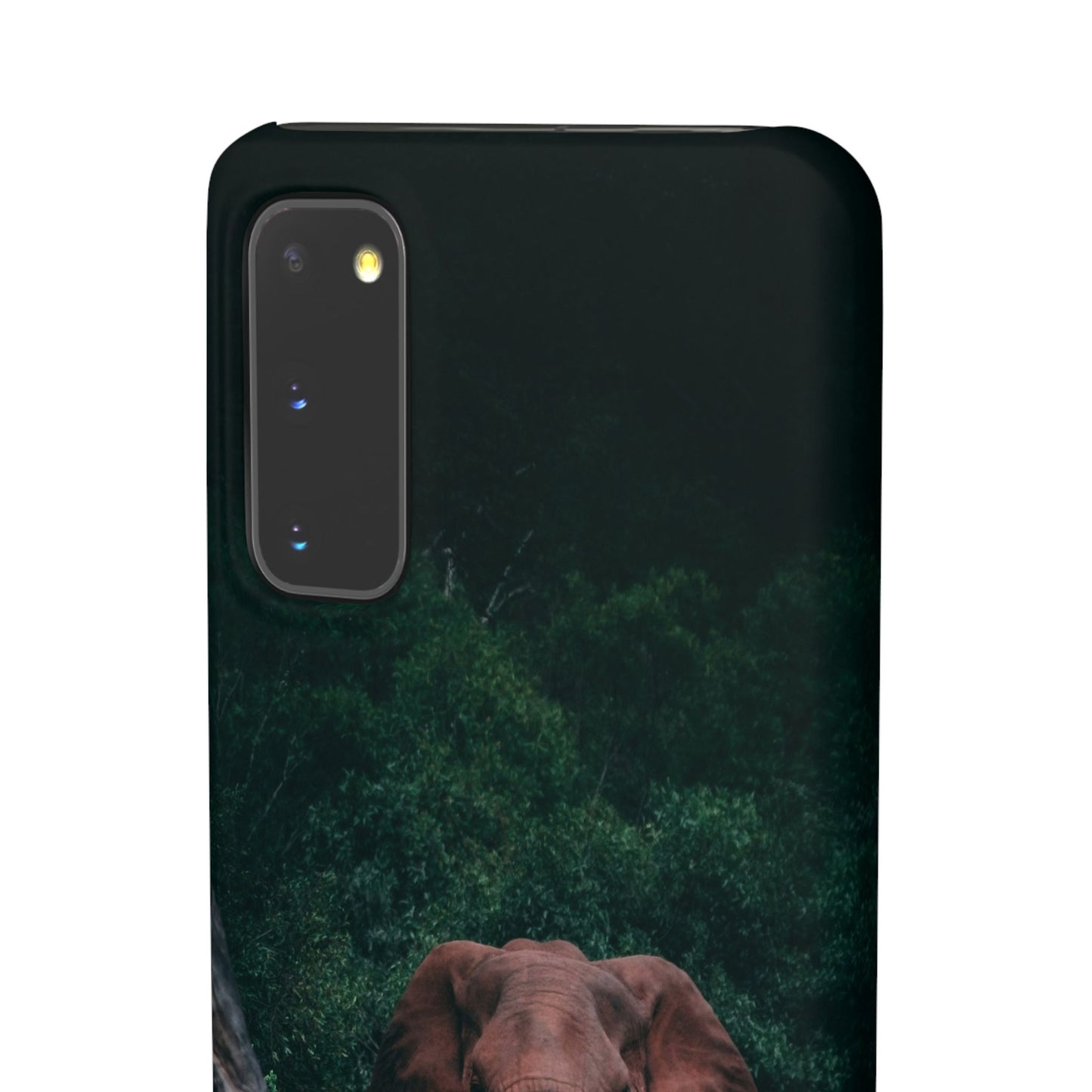 Wildlife Lover's Cajasol - Majestic Elephant