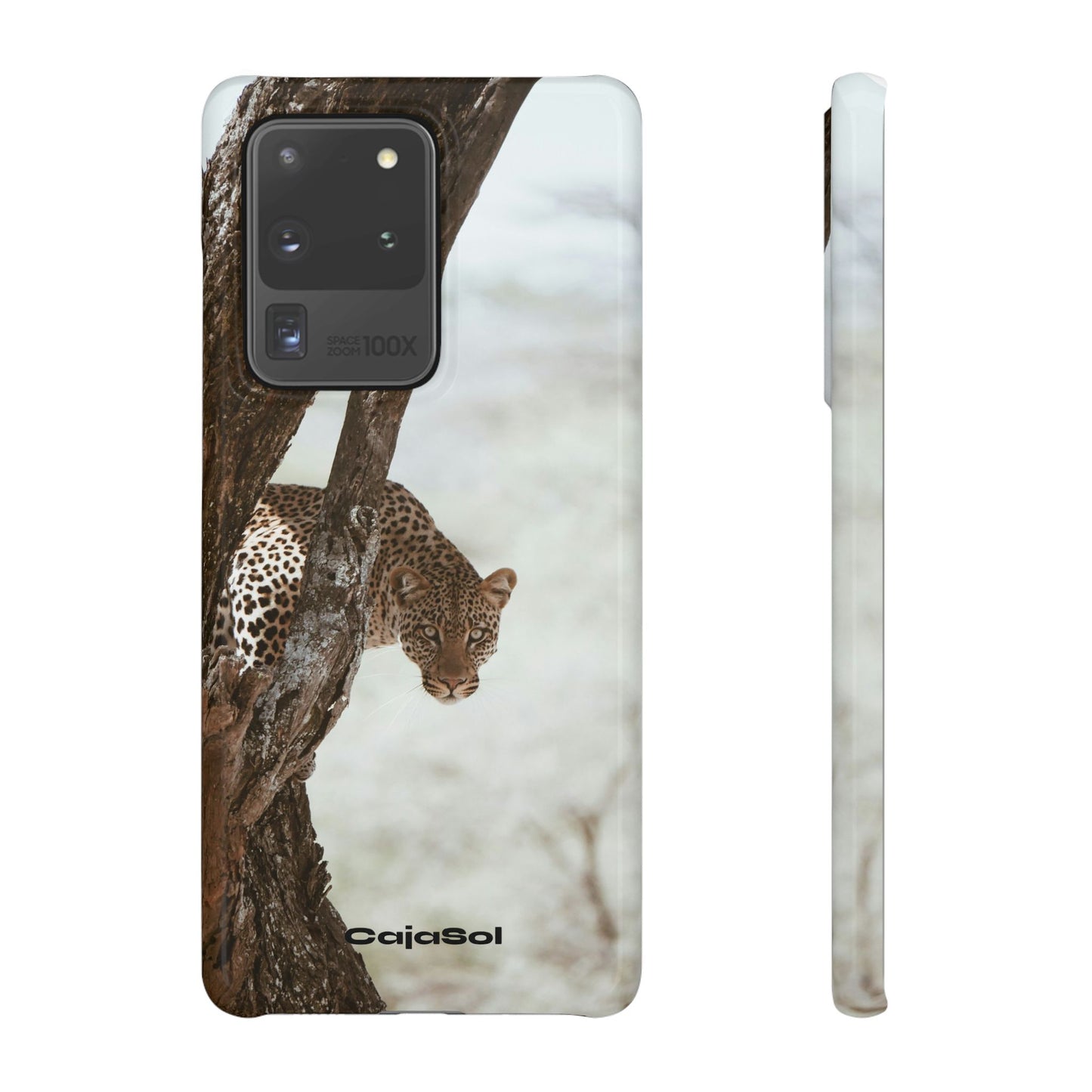 Leopard Cajasol - Wildlife Vibes