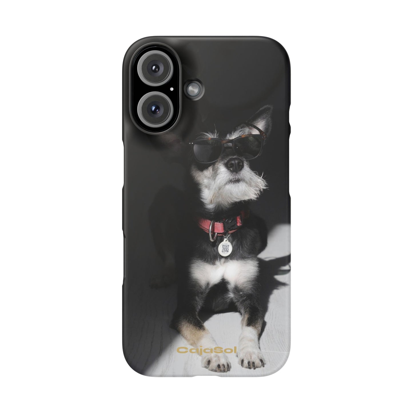 Cool Dog Cajasol - Stylish Pet