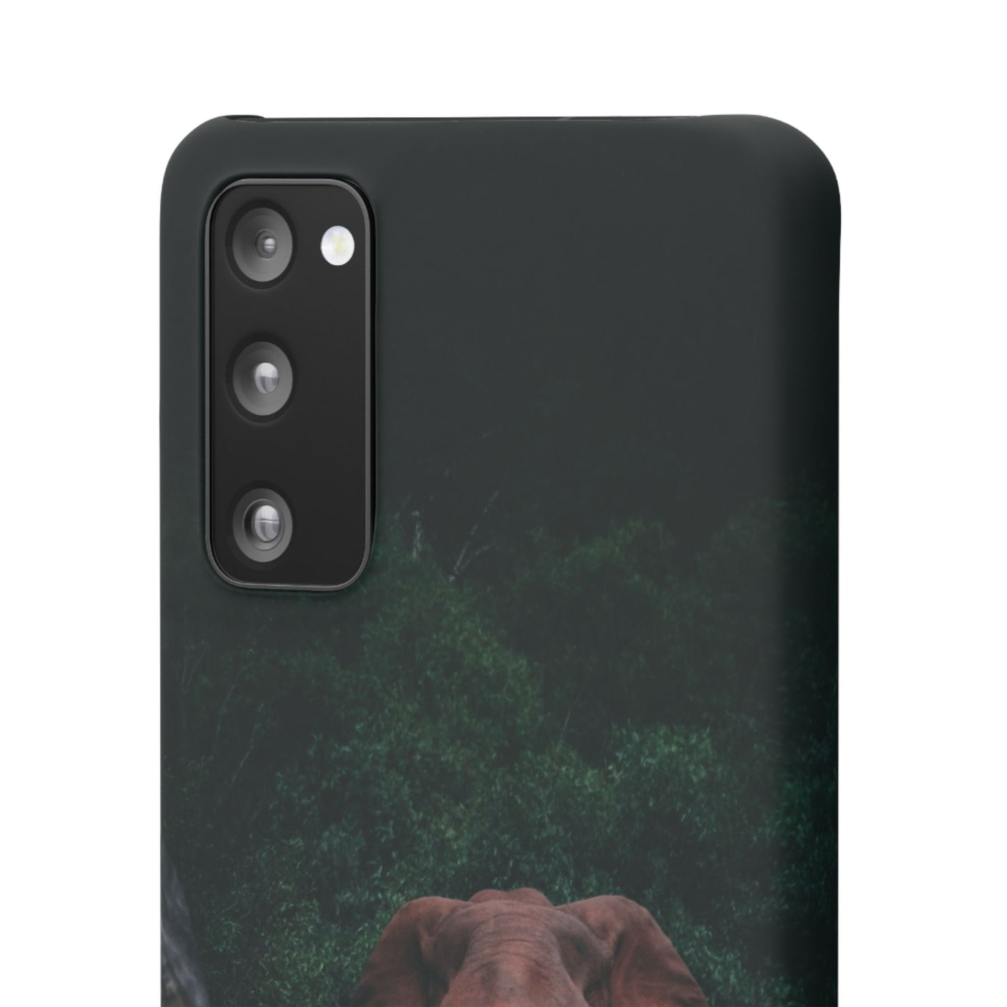 Wildlife Lover's Cajasol - Majestic Elephant