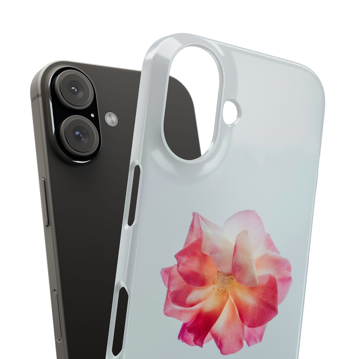 Floral Cajasol - Elegant Pink Flower