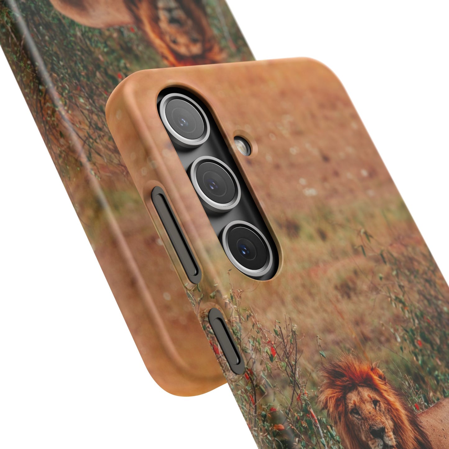 Majestic Lion Cajasol - Nature Inspired