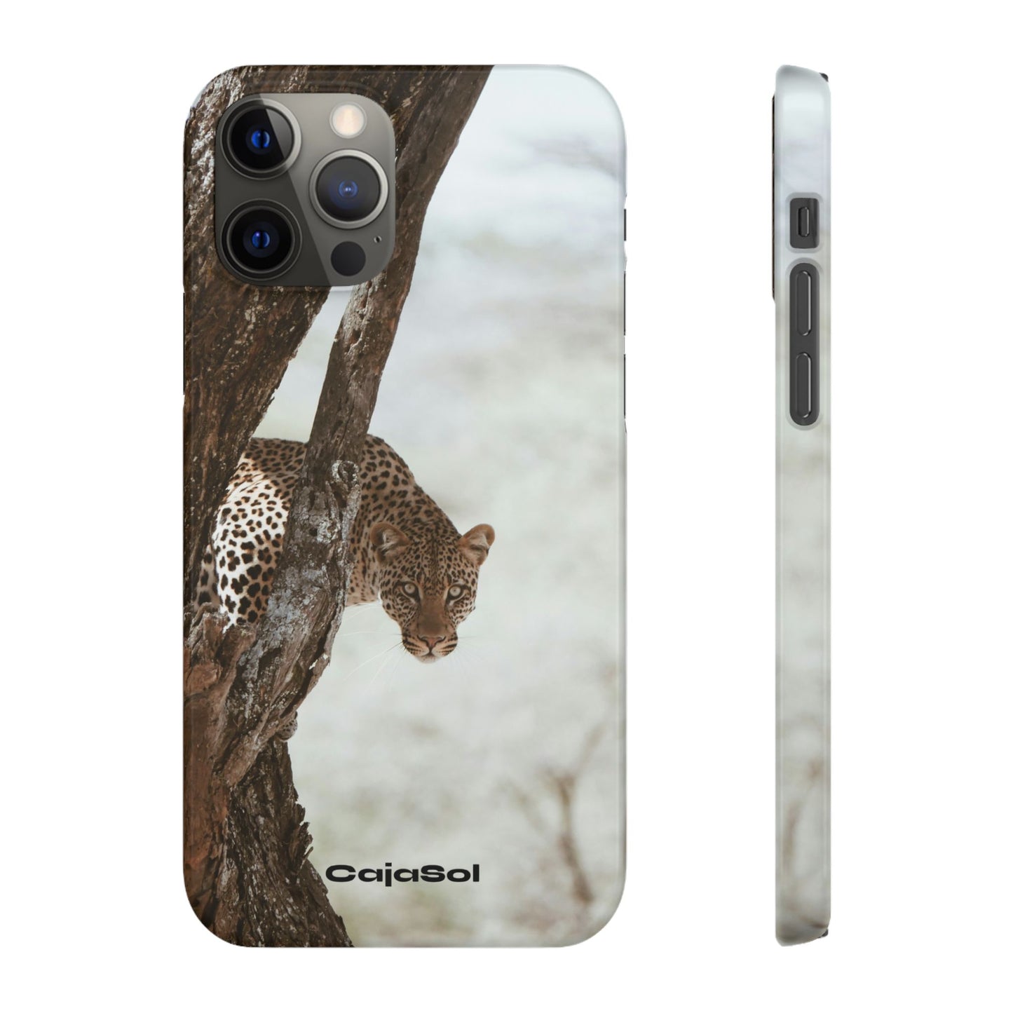Leopard Cajasol - Wildlife Vibes
