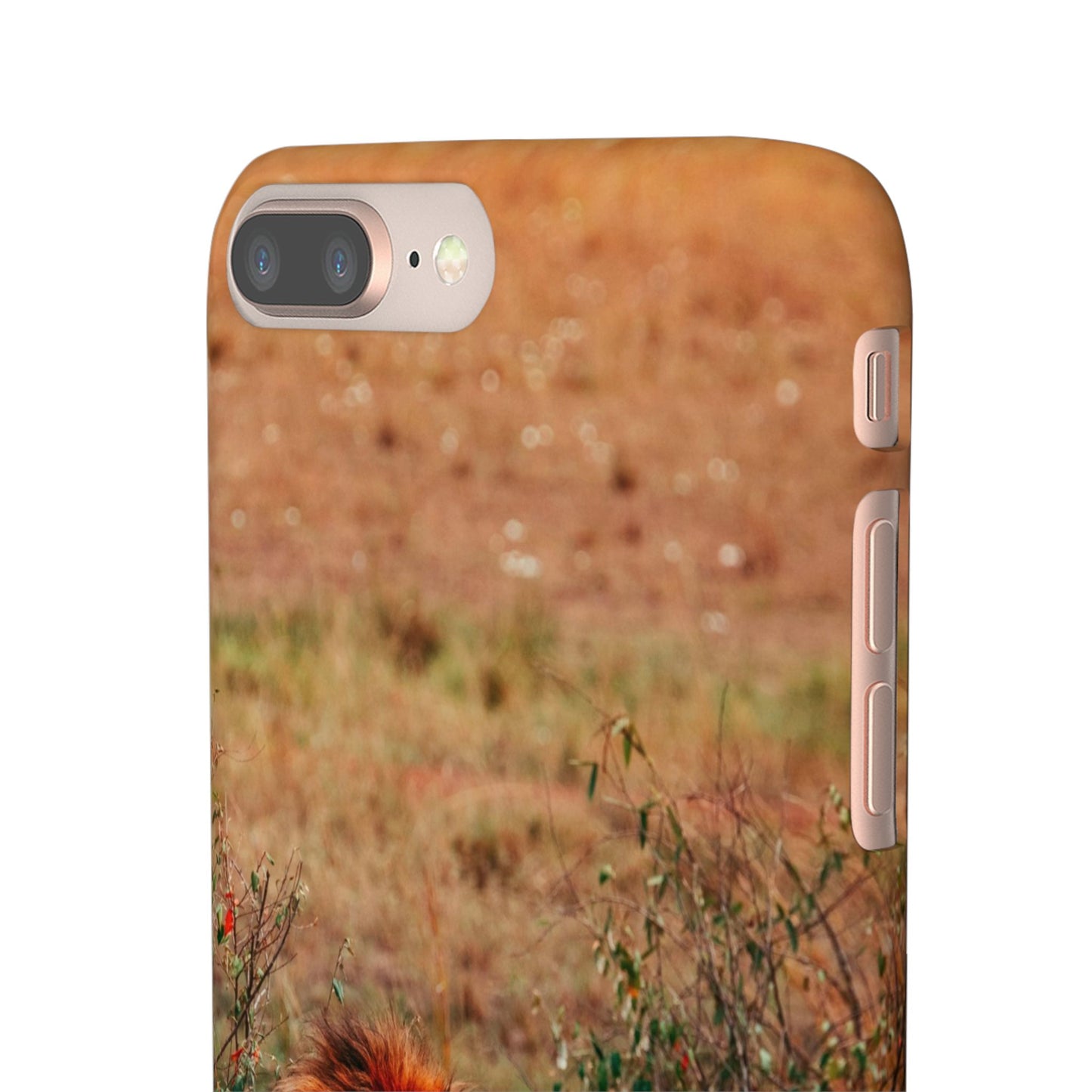 Majestic Lion Cajasol - Nature Inspired