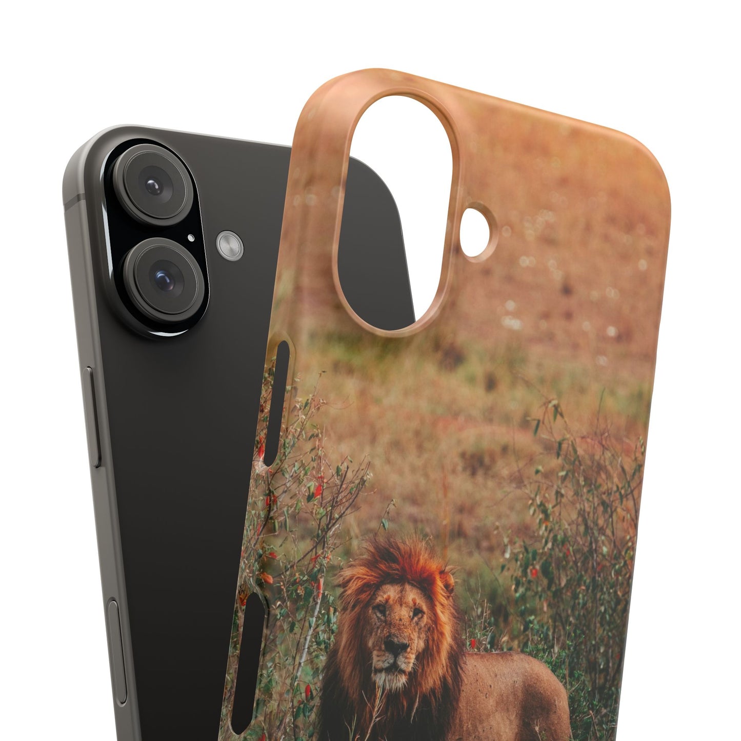 Majestic Lion Cajasol - Nature Inspired