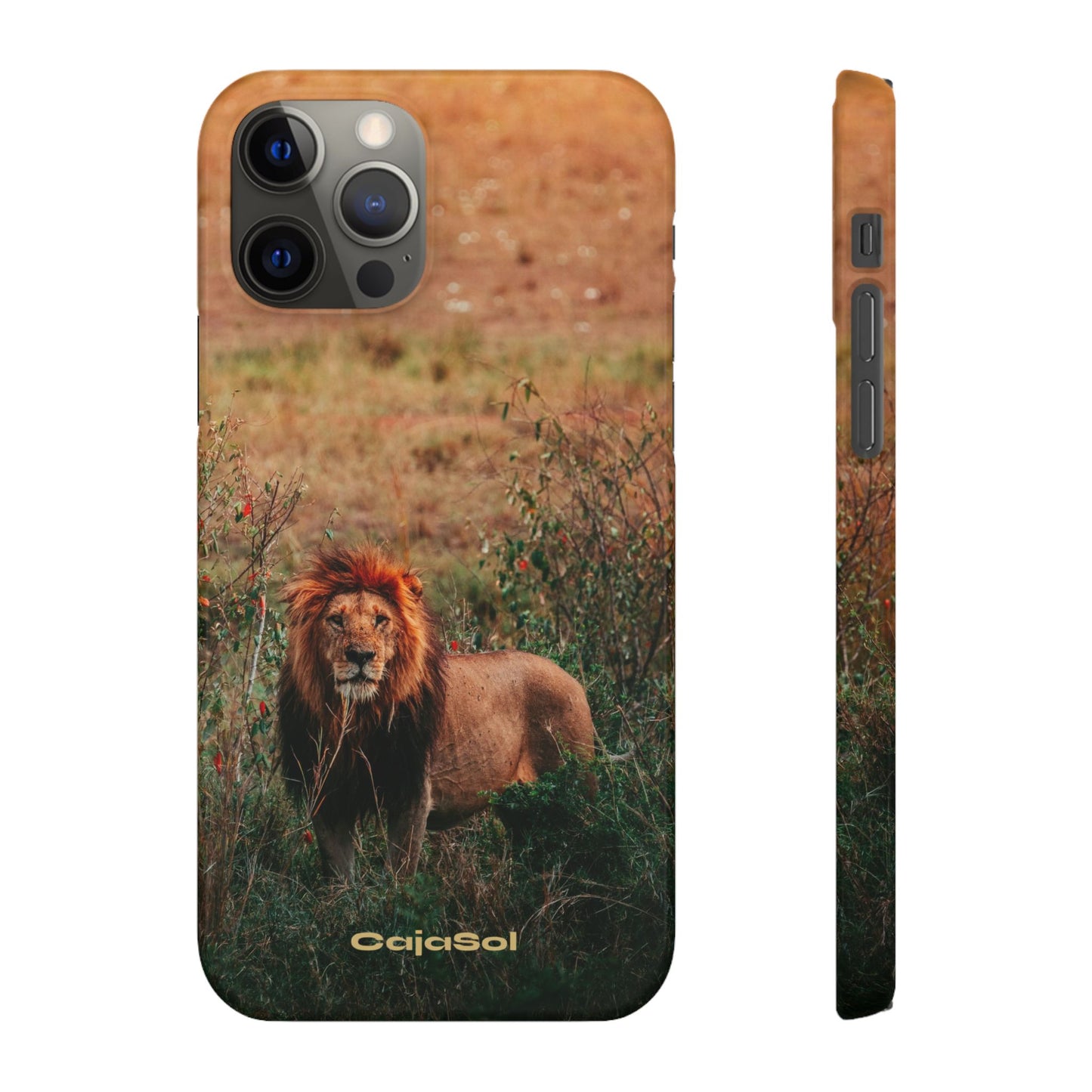 Majestic Lion Cajasol - Nature Inspired