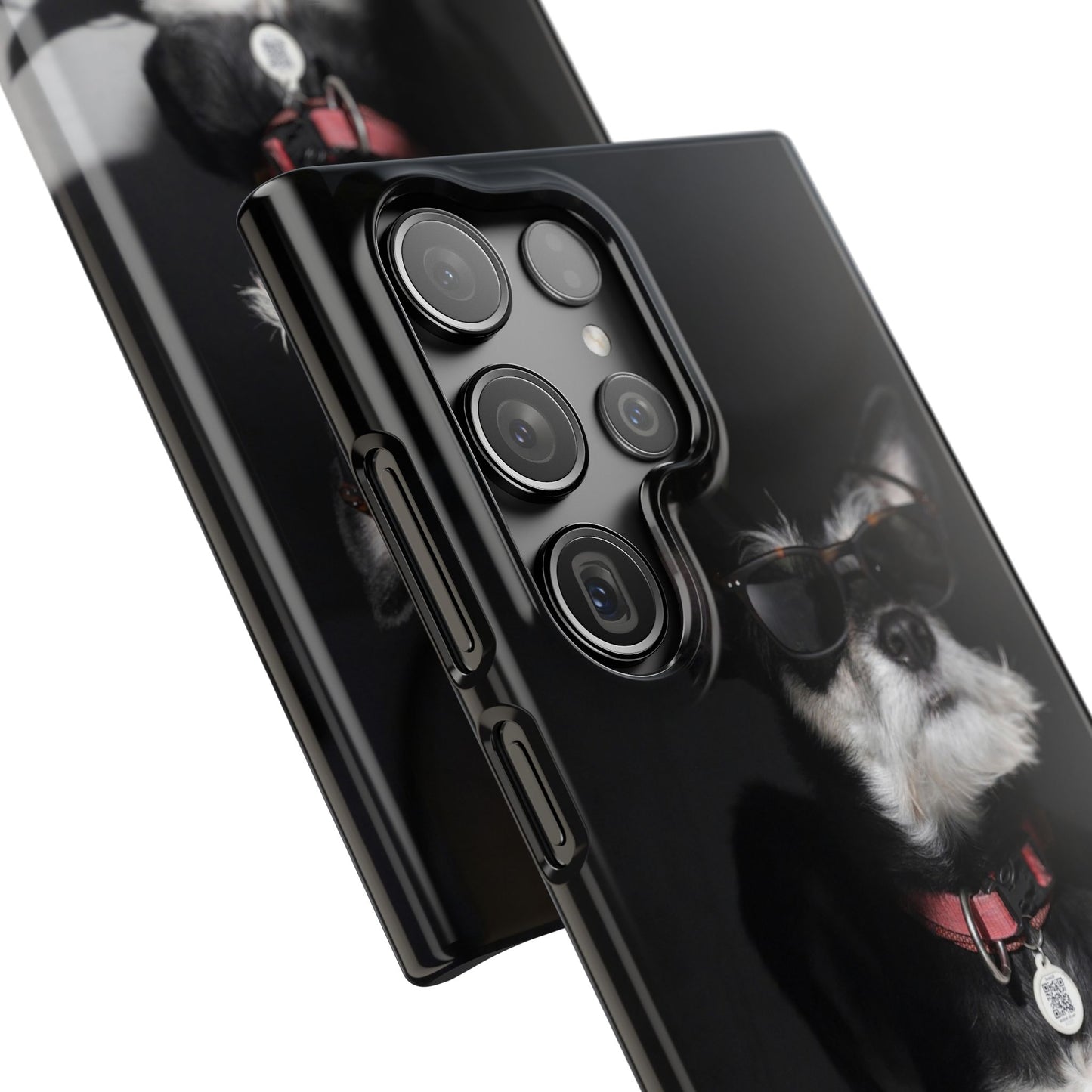 Cool Dog Cajasol - Stylish Pet