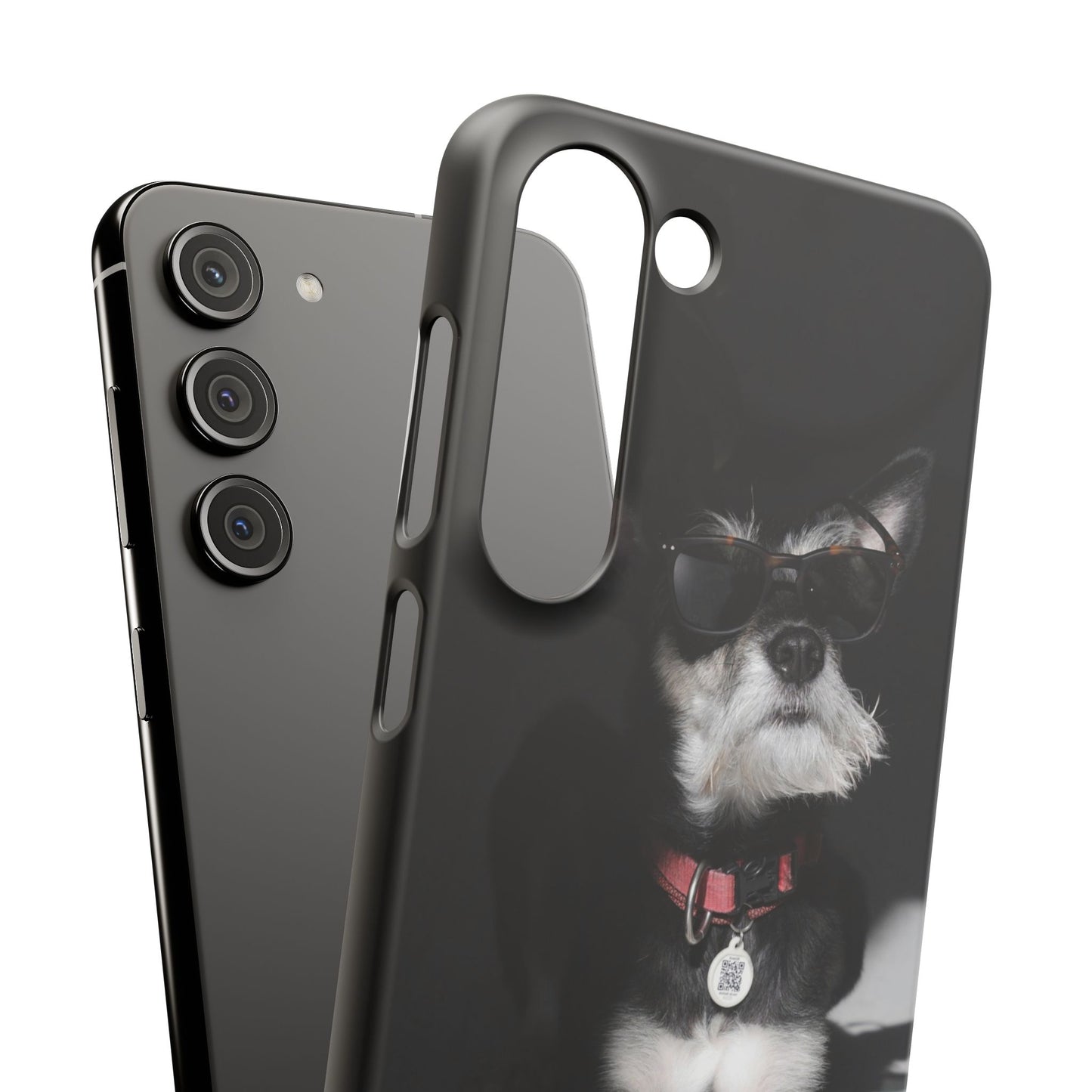 Cool Dog Cajasol - Stylish Pet