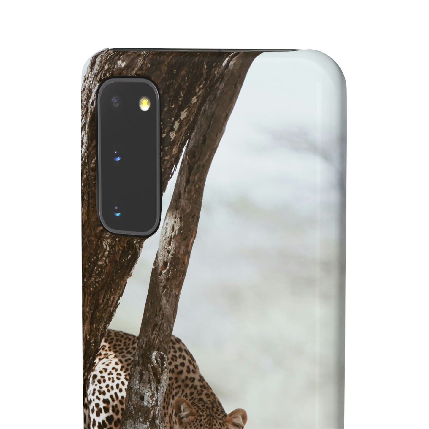 Leopard Cajasol - Wildlife Vibes