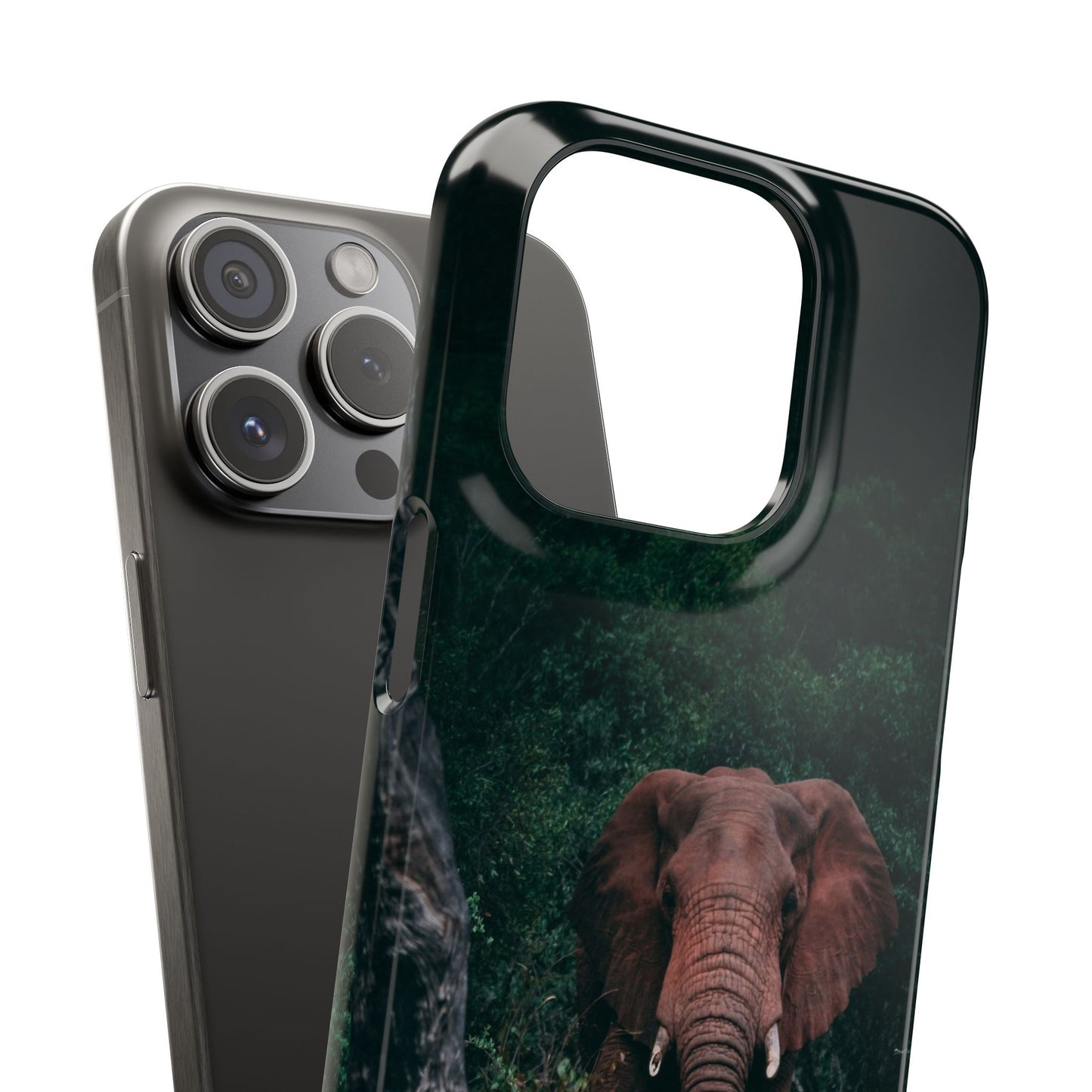 Wildlife Lover's Cajasol - Majestic Elephant