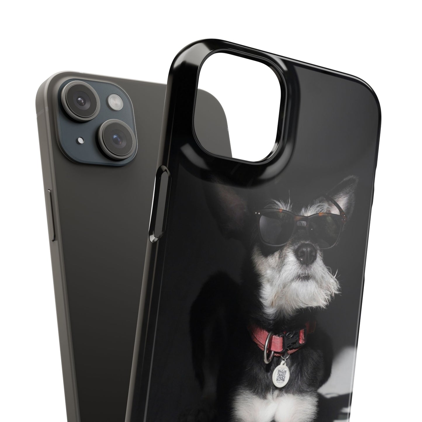 Cool Dog Cajasol - Stylish Pet