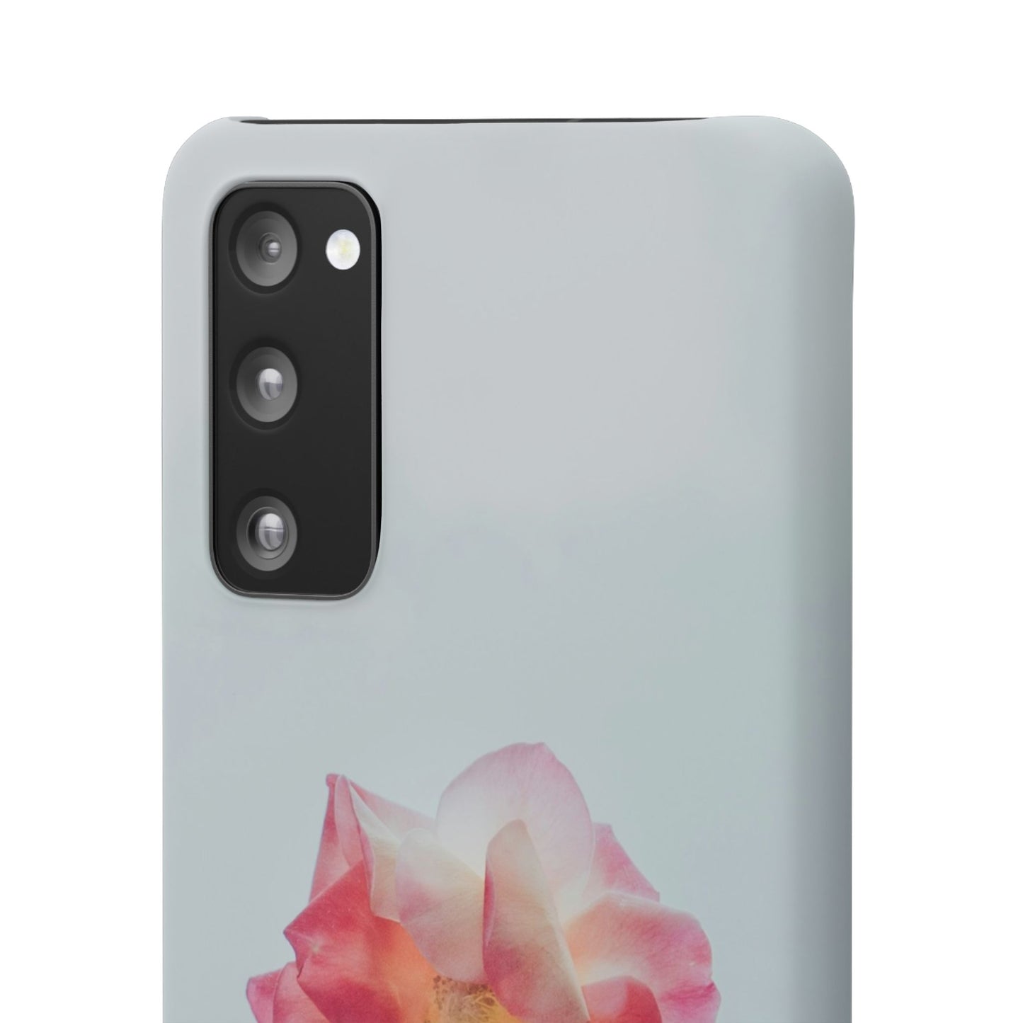 Floral Cajasol - Elegant Pink Flower