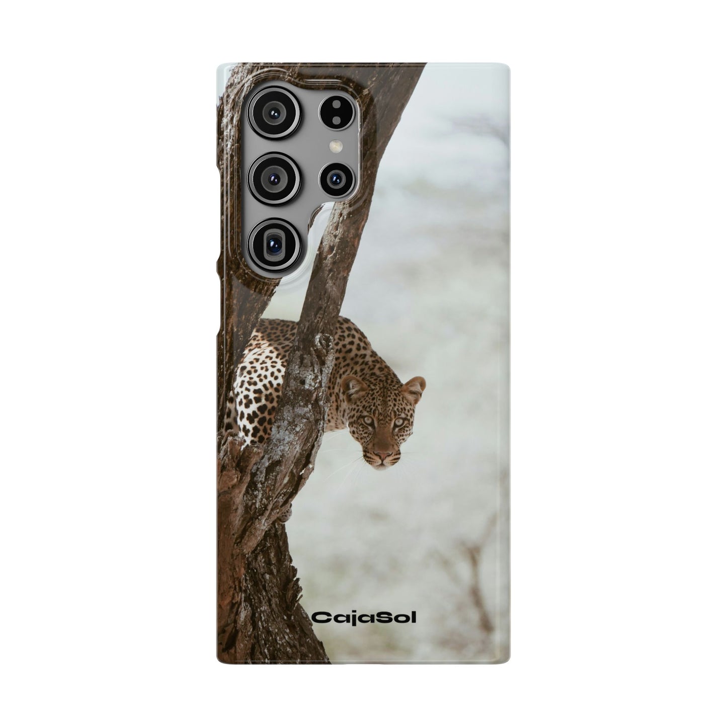 Leopard Cajasol - Wildlife Vibes