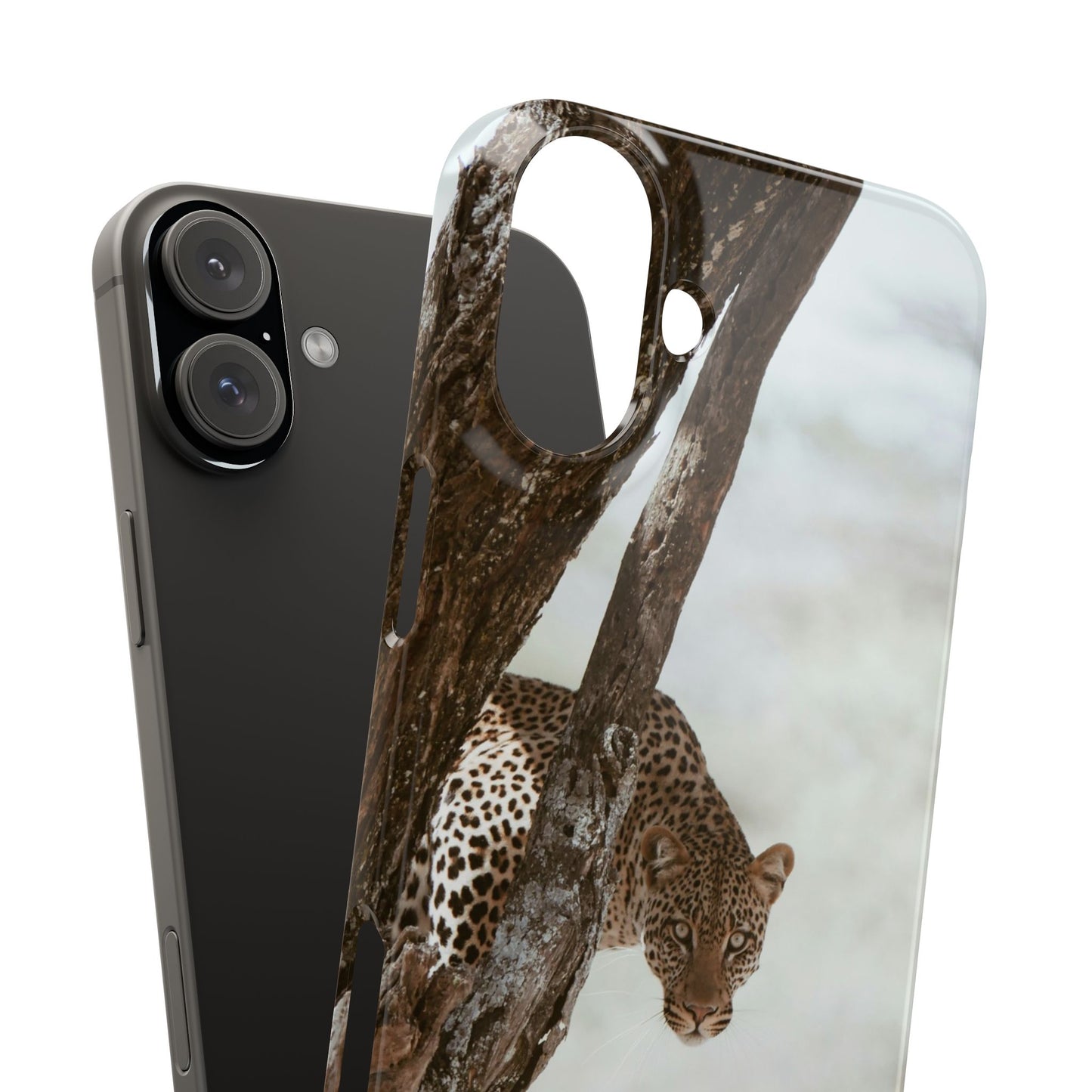 Leopard Cajasol - Wildlife Vibes