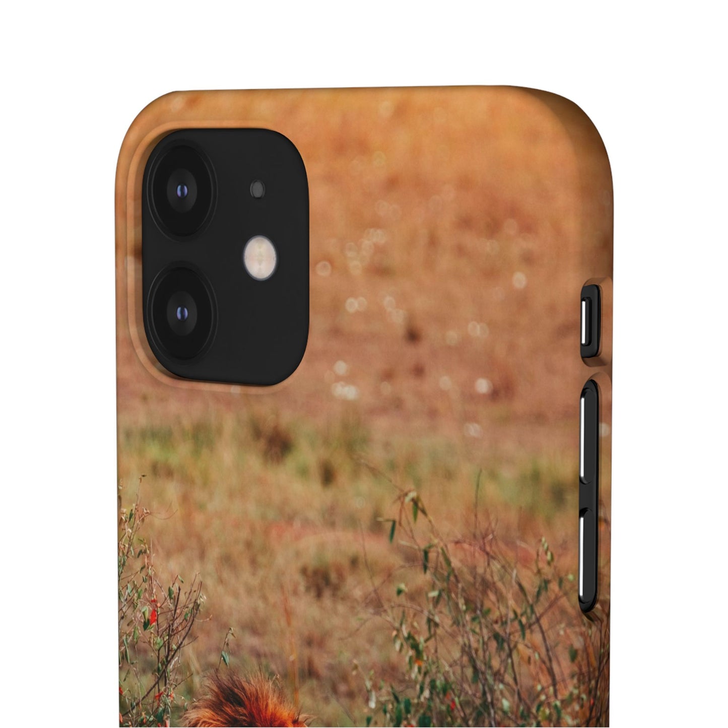 Majestic Lion Cajasol - Nature Inspired