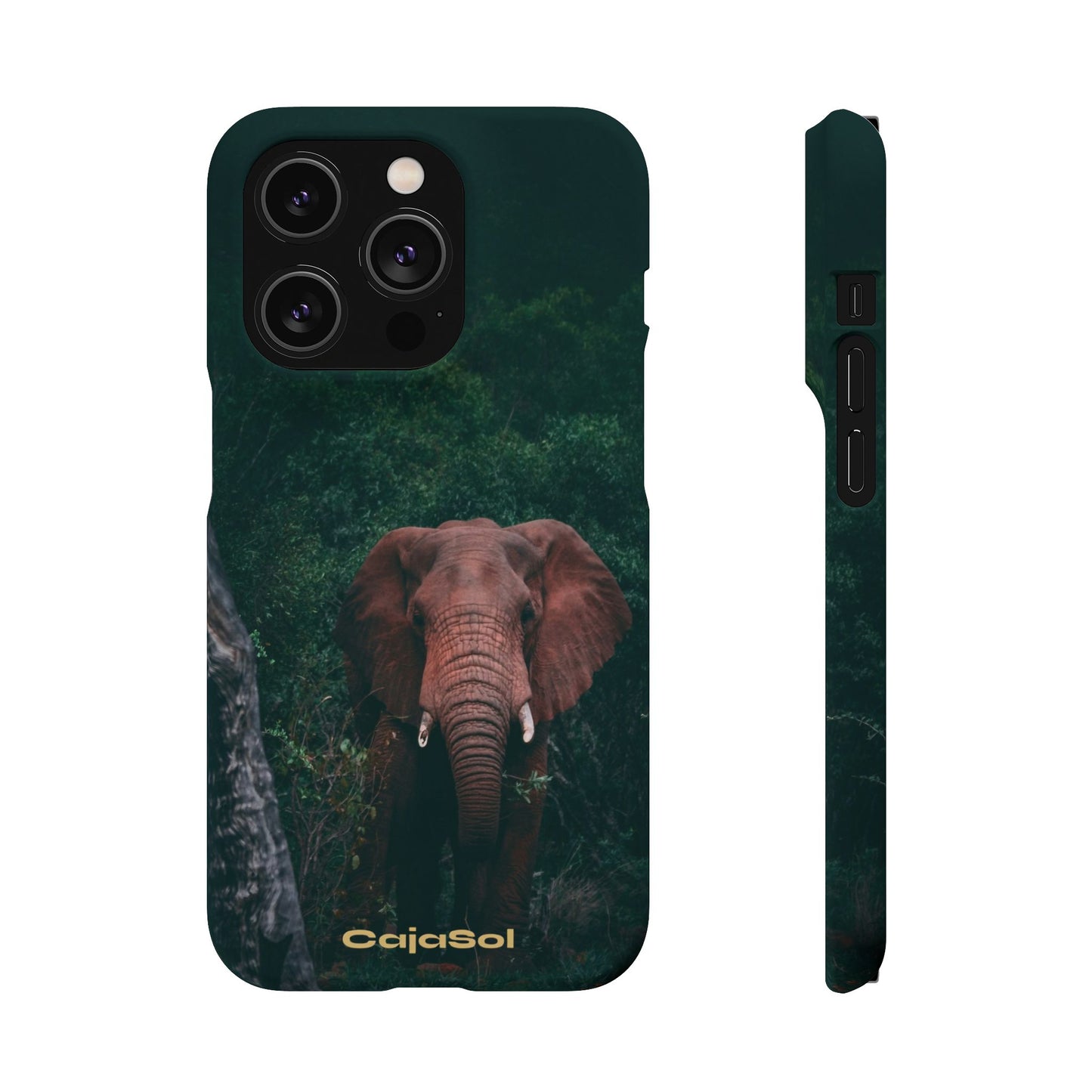 Wildlife Lover's Cajasol - Majestic Elephant