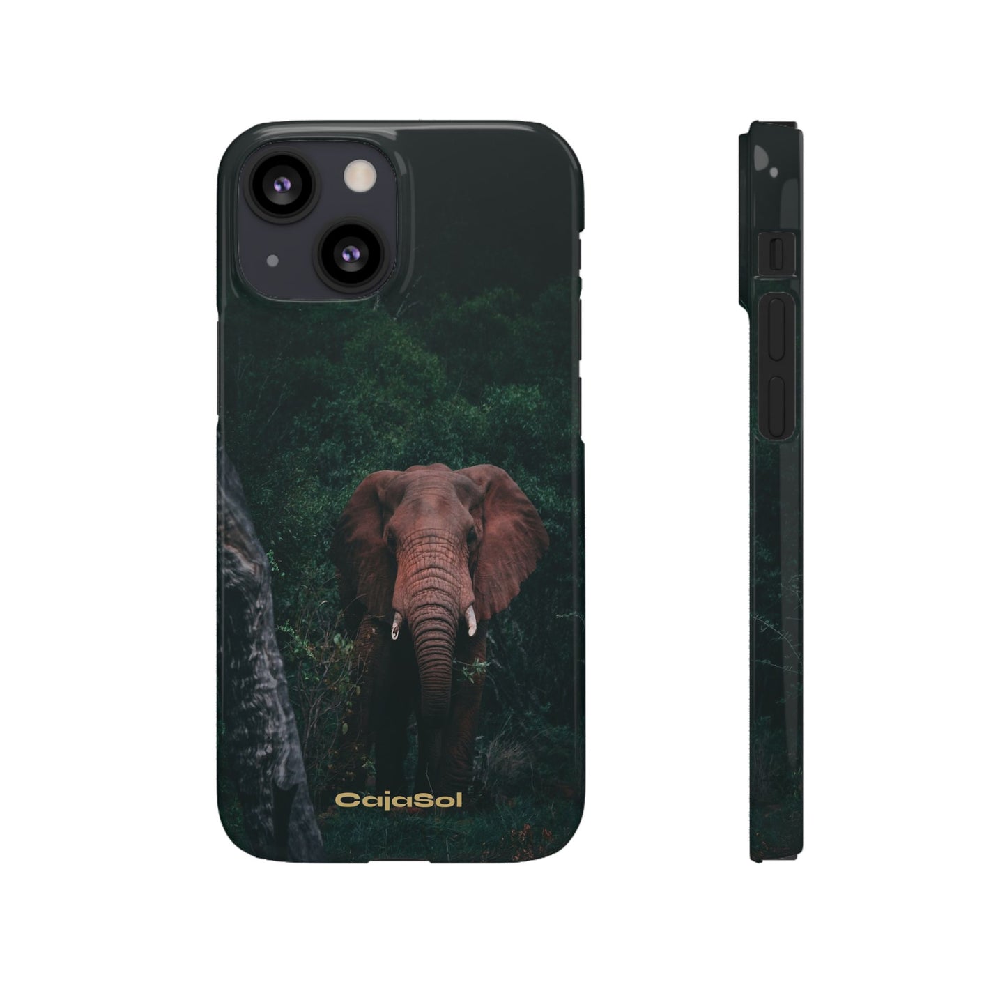 Wildlife Lover's Cajasol - Majestic Elephant